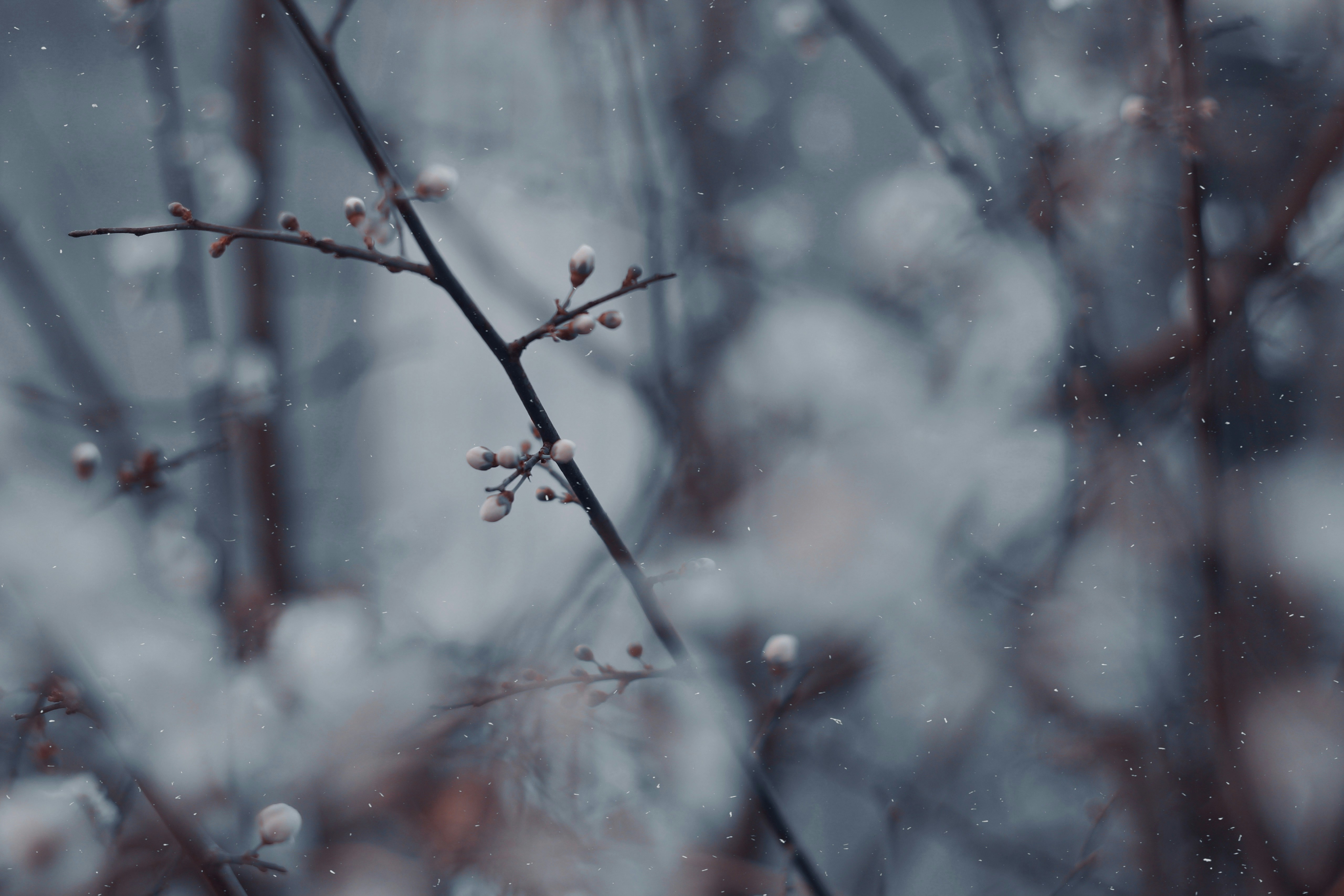 Photo by neginbahramii