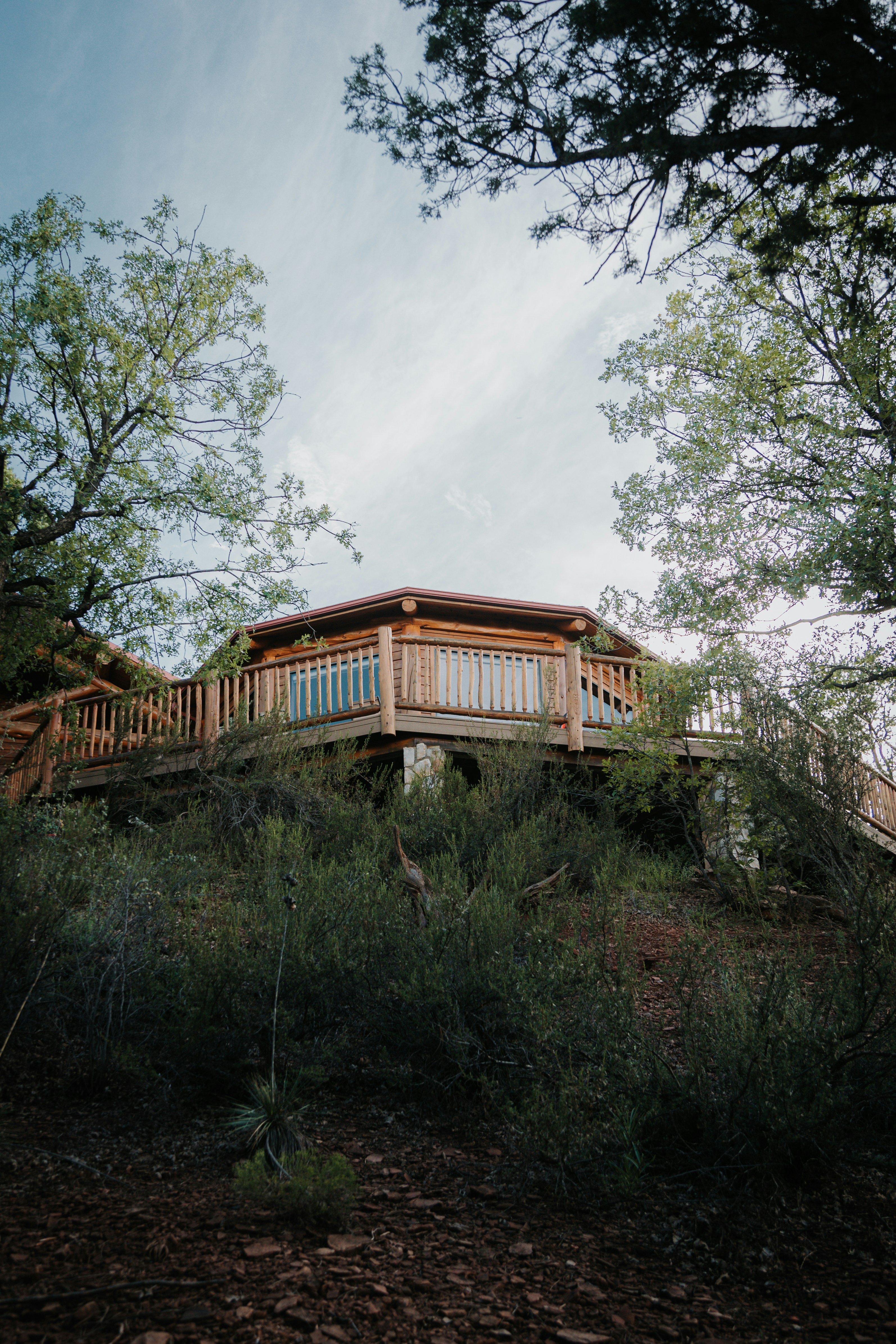 Photo by jeffersonsees