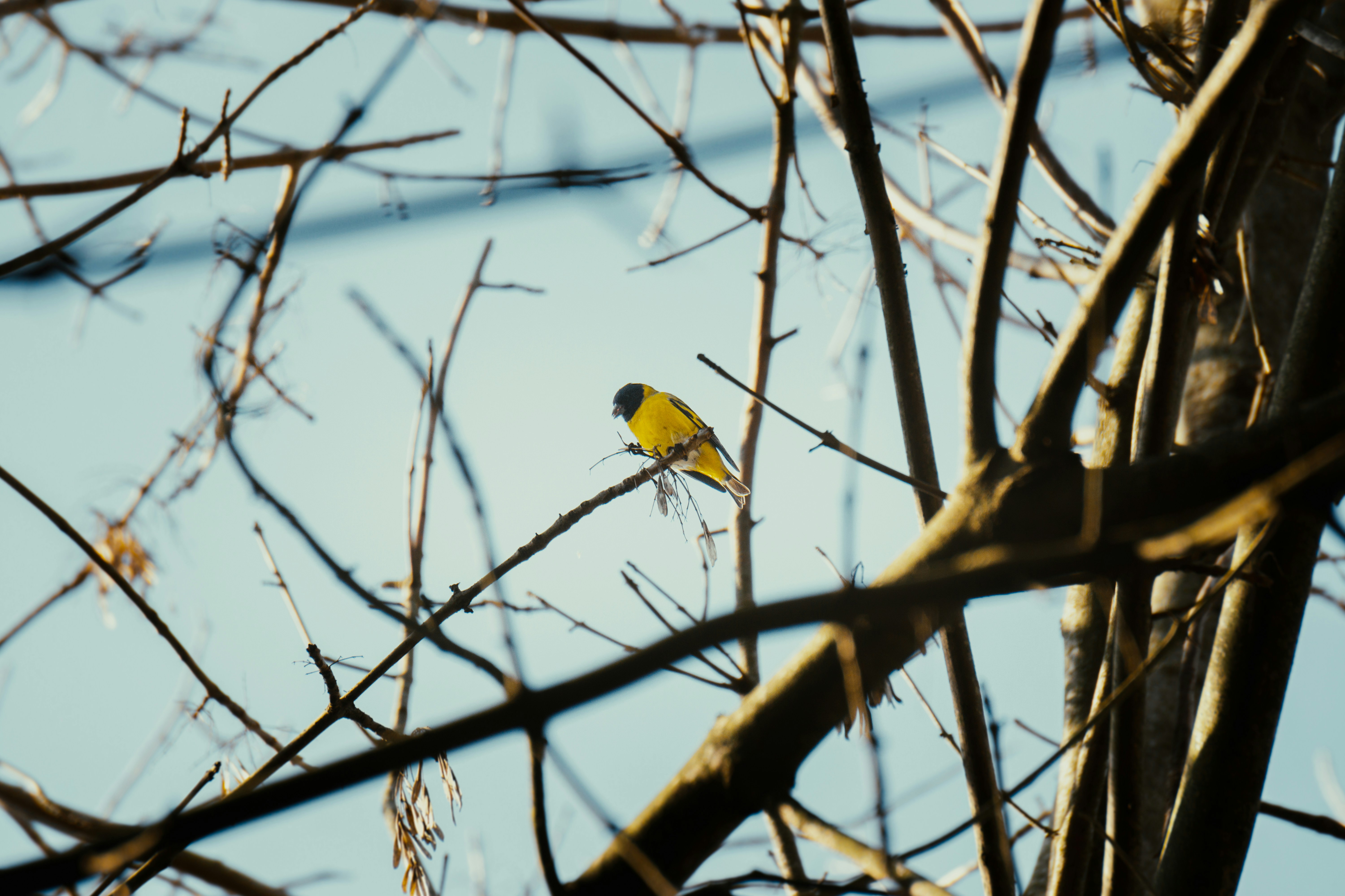 Photo by schmunck