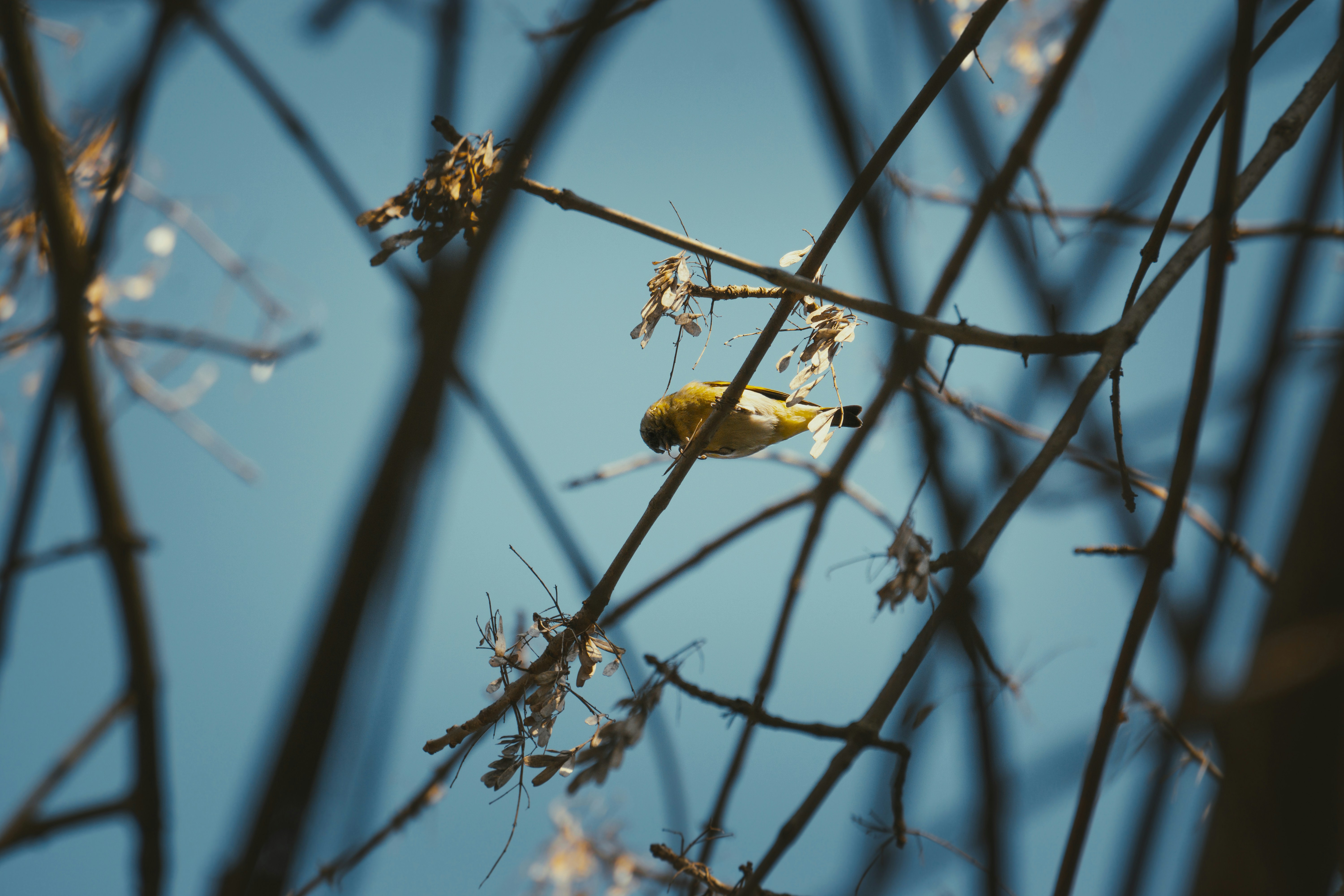 Photo by schmunck