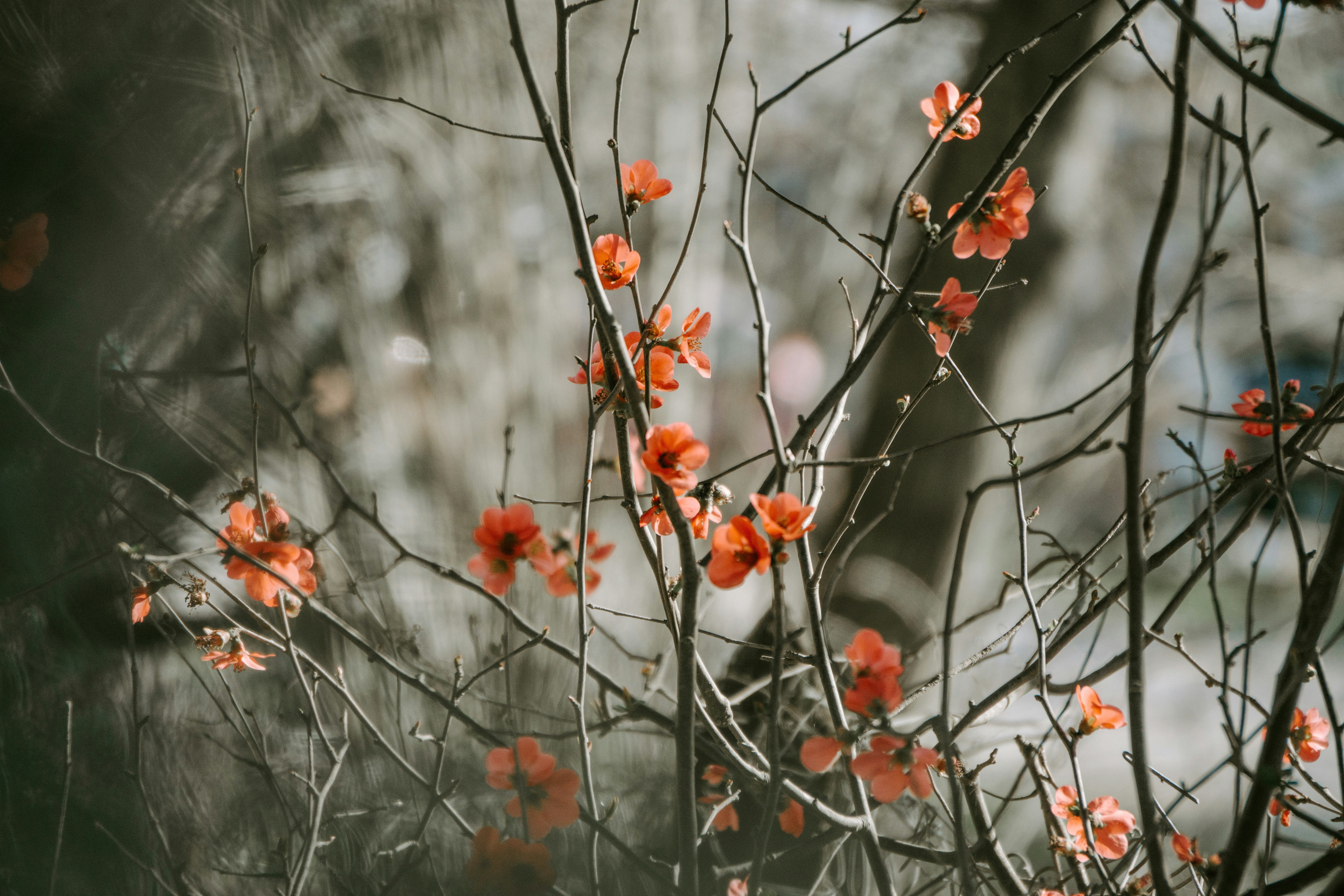 Photo by schmunck