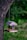 A wooden birdhouse hangs from a tree branch, adorned with blue floral designs and the word 'Lowe's' on it. The backdrop is a blurred, lush green garden.