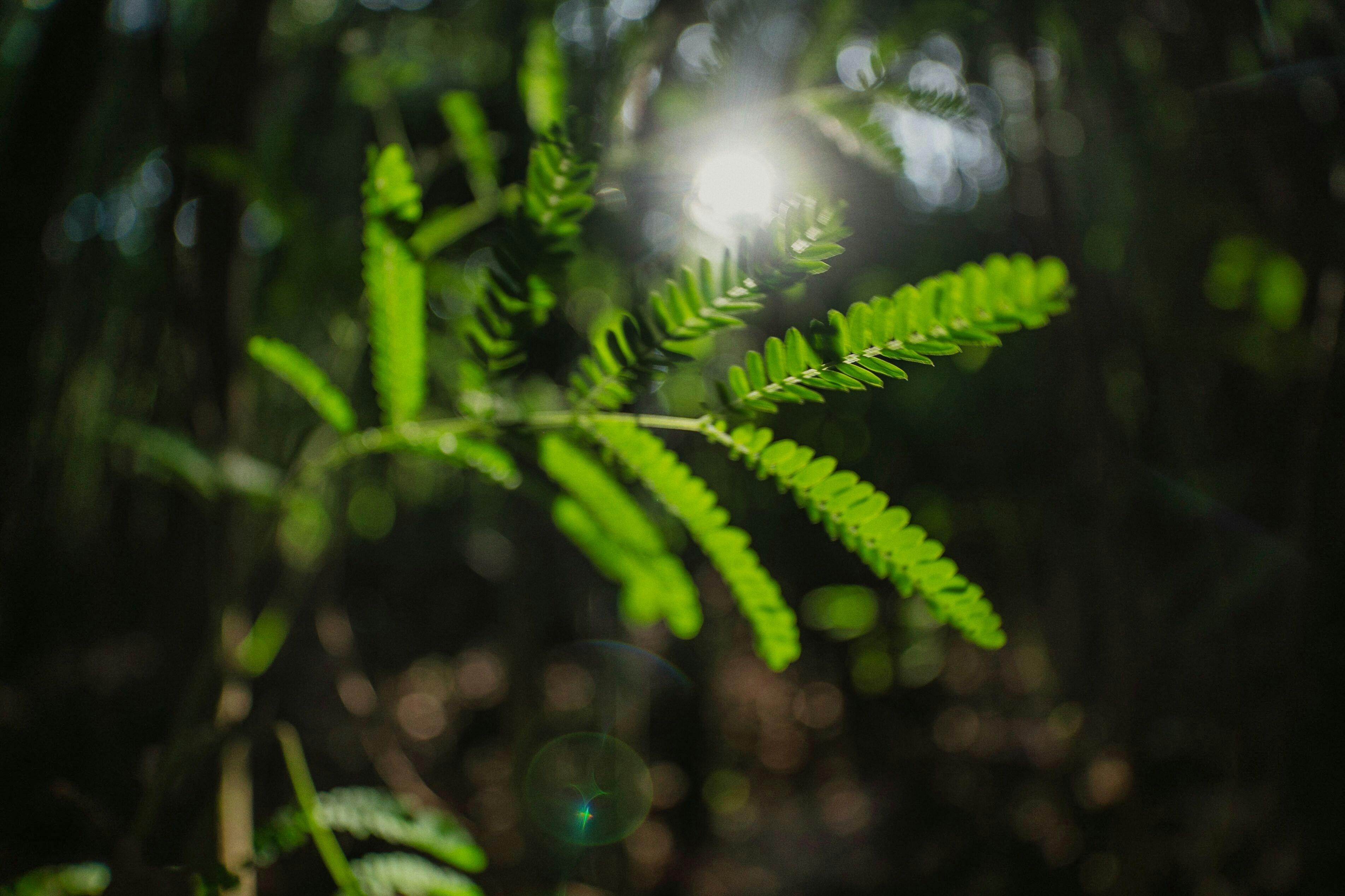 Photo by kiyoshi_jpg