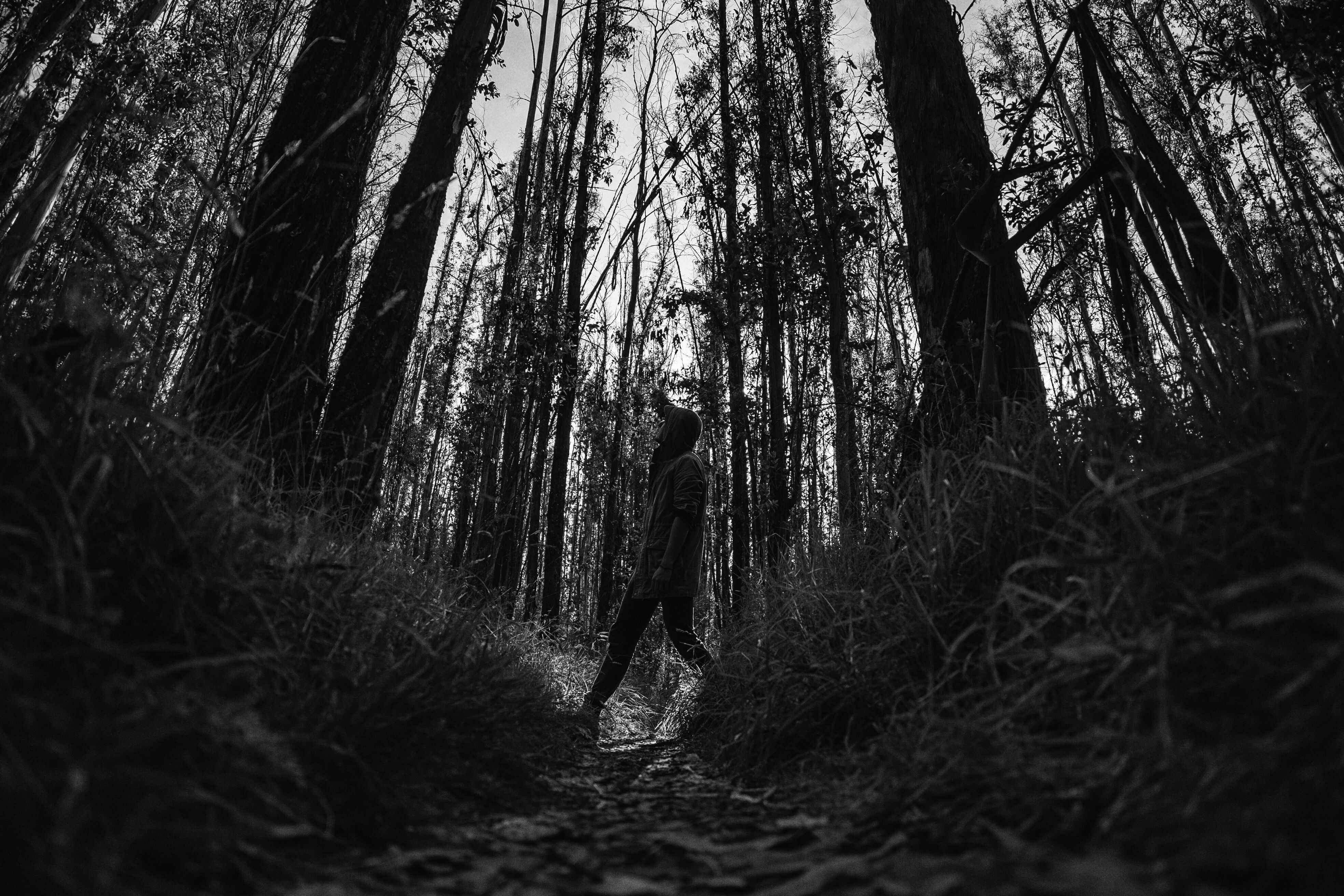 Photo by kiyoshi_jpg