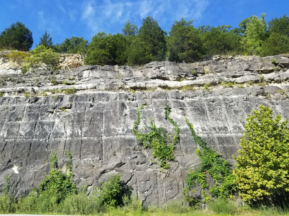 eine felsige Klippe mit Bäumen