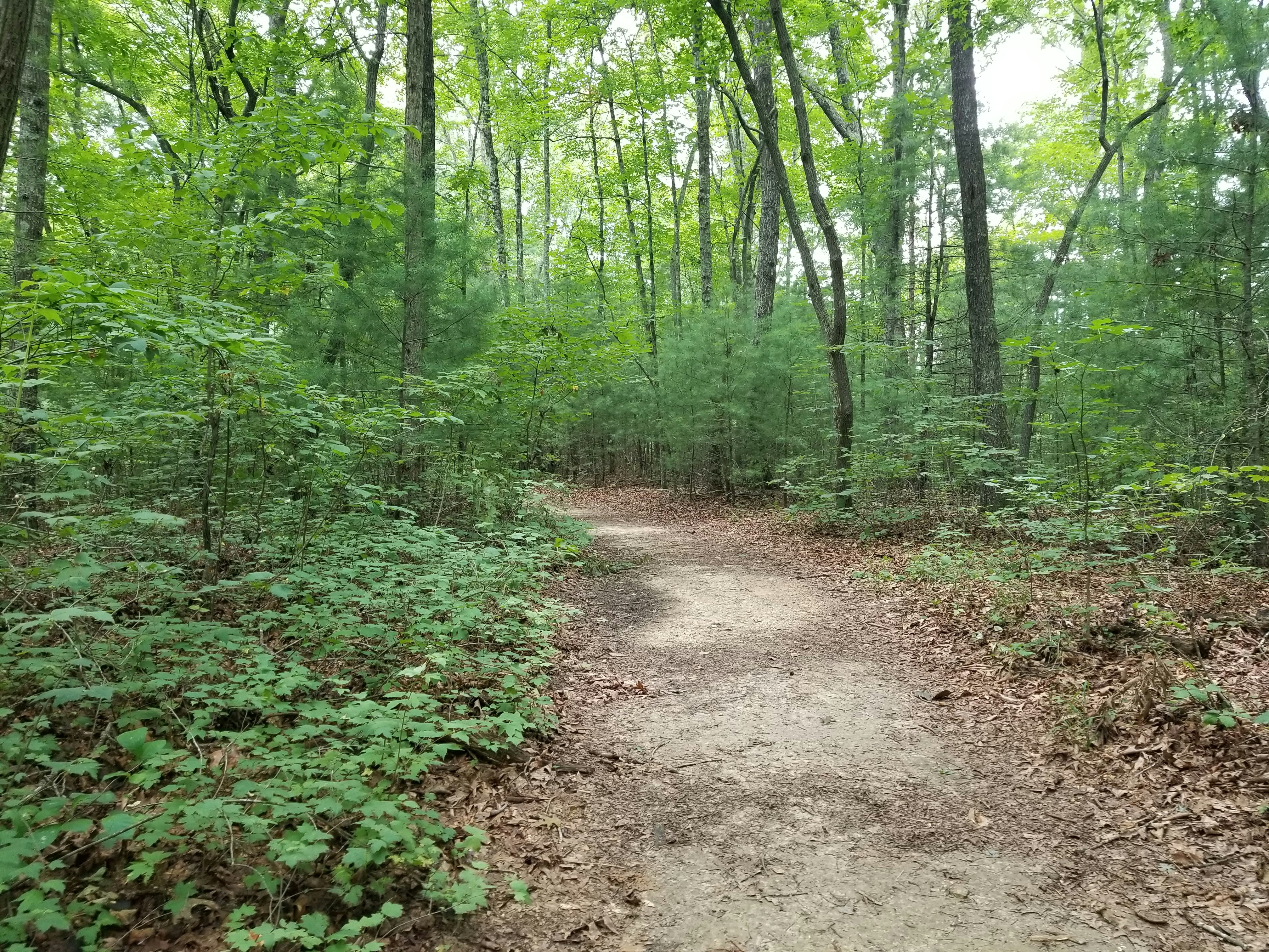 Photo by prphotography262