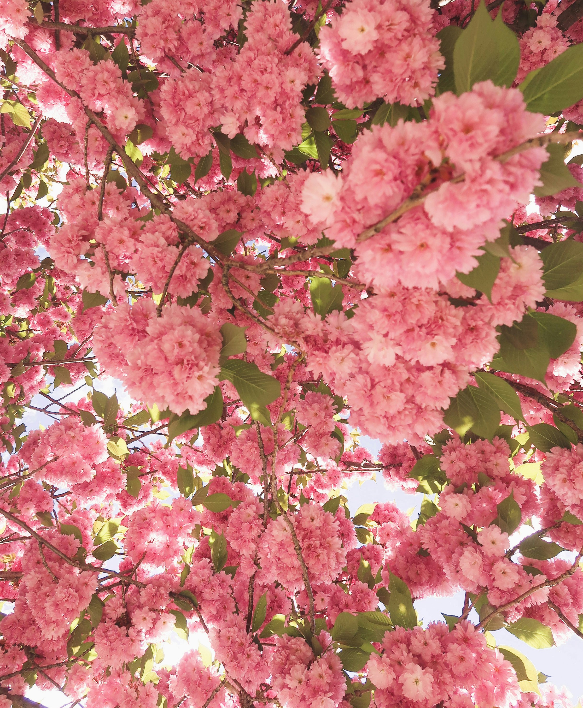 Photo by bbyteiii