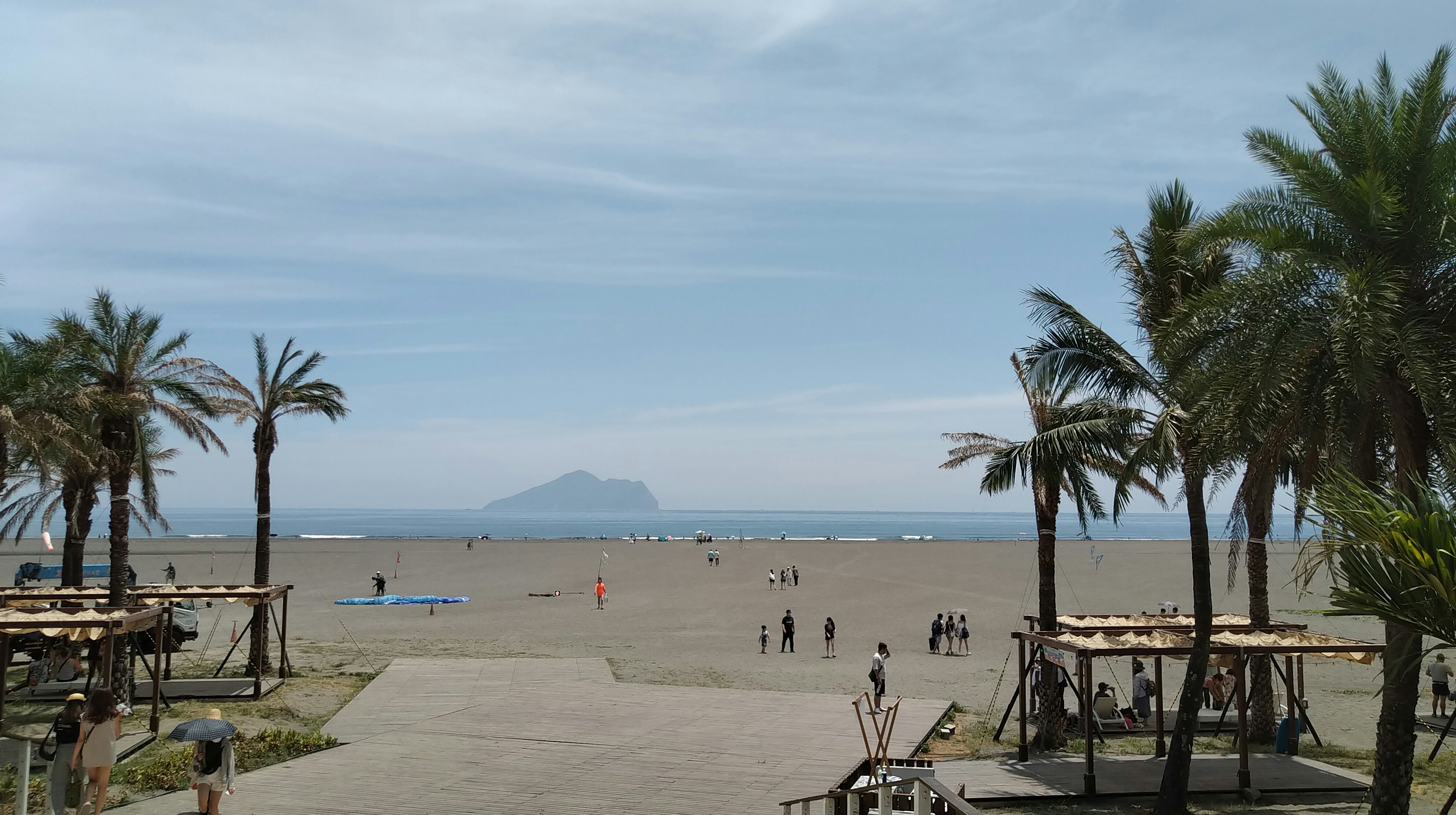 a beach with palm trees and people