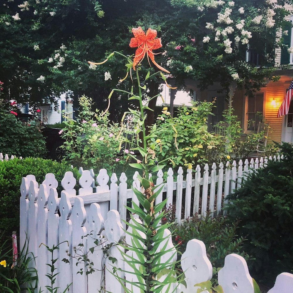 a white picket fence with a flower on it