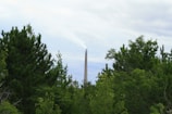A tall industrial smokestack emits a plume of smoke into the sky, surrounded by dense, green foliage and trees. The background features an overcast sky, creating a contrast between the natural greenery and the industrial structure.