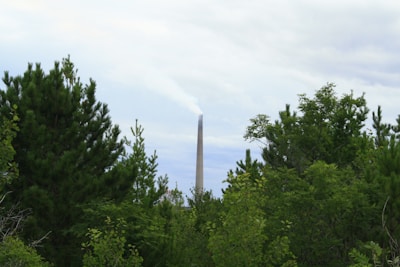 A tall industrial smokestack emits a plume of smoke into the sky, surrounded by dense, green foliage and trees. The background features an overcast sky, creating a contrast between the natural greenery and the industrial structure.