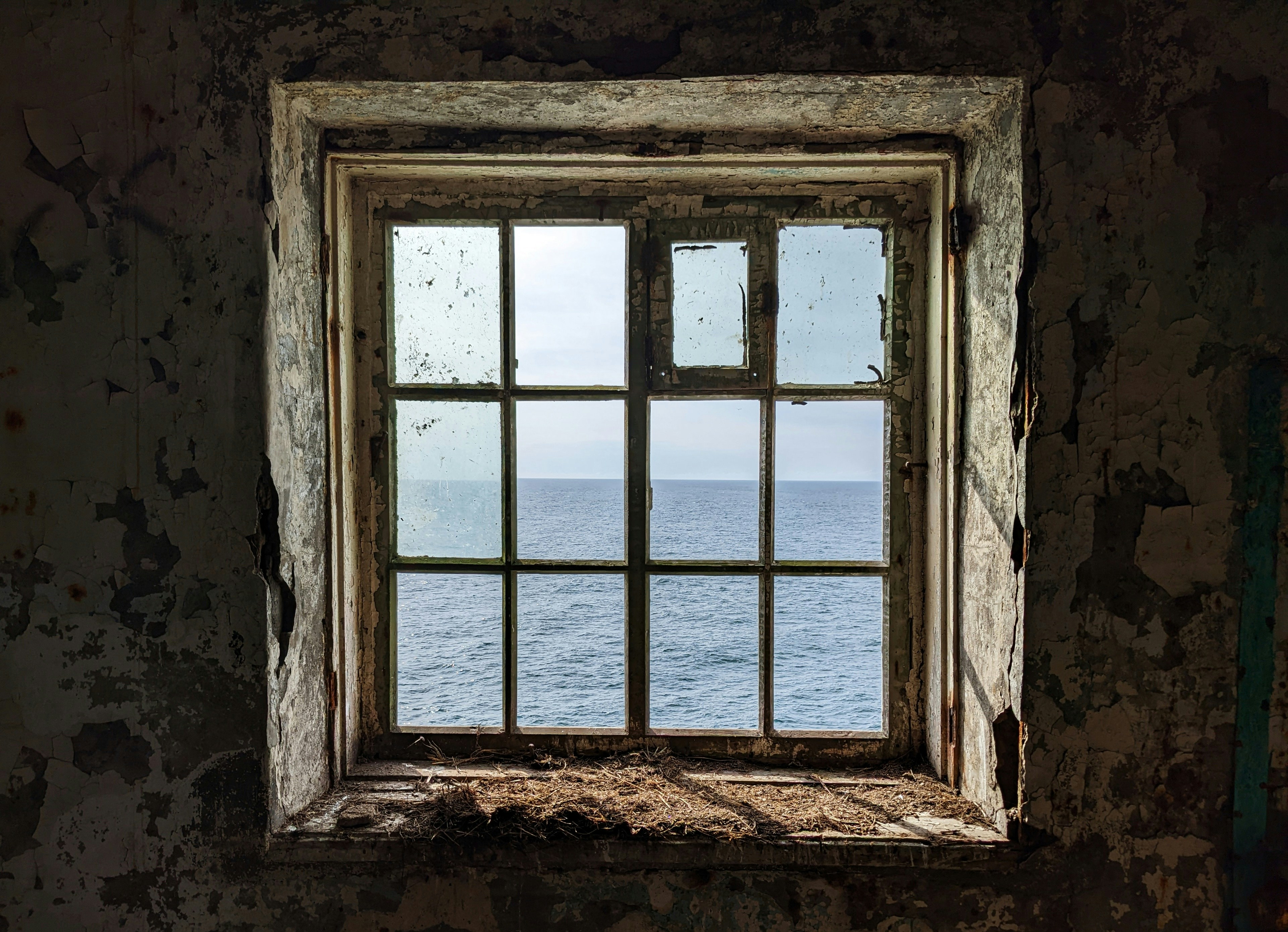 Photo by allenmilligun