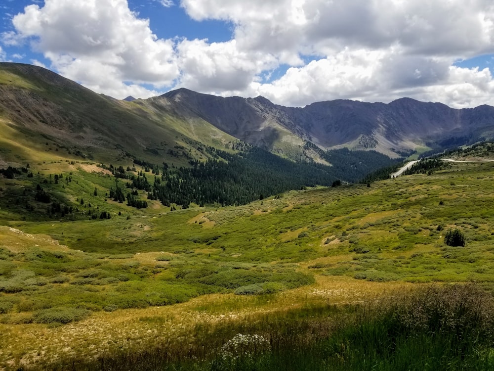 a grassy valley with mountains in the background