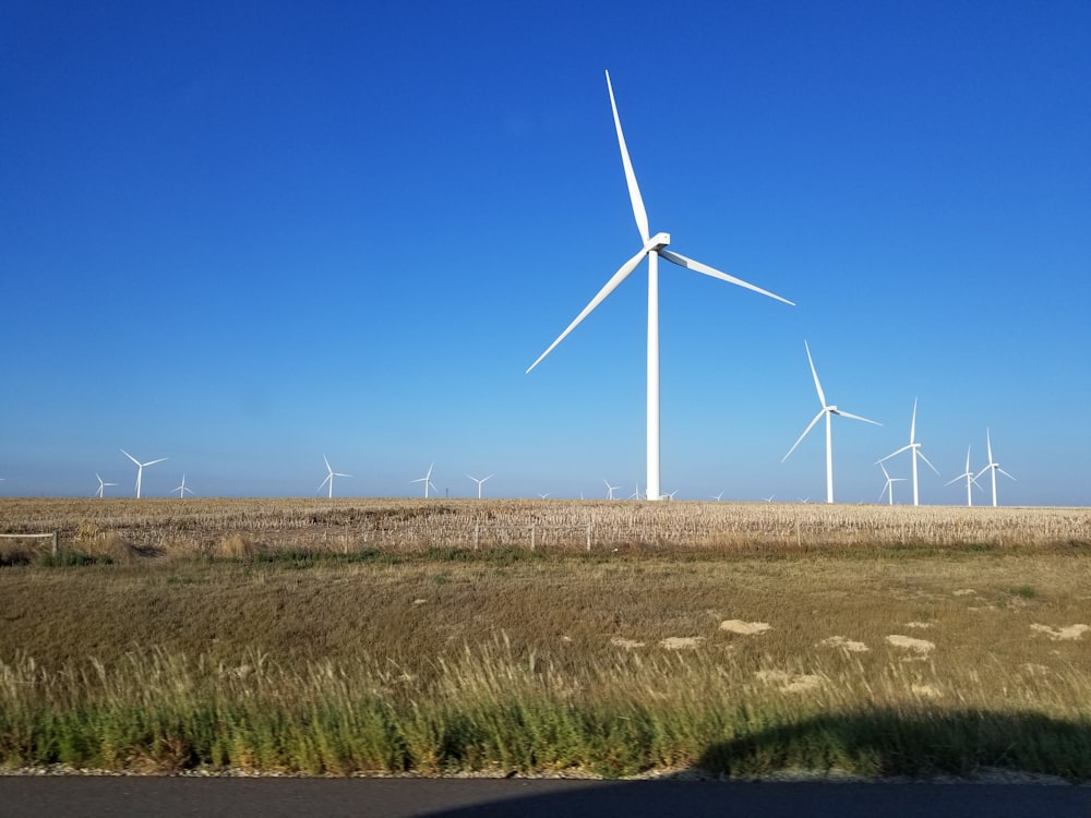 a group of wind turbines