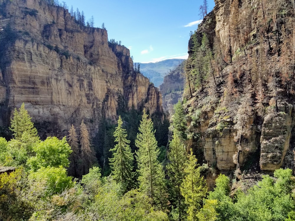 a rocky cliff with trees and a blue sky