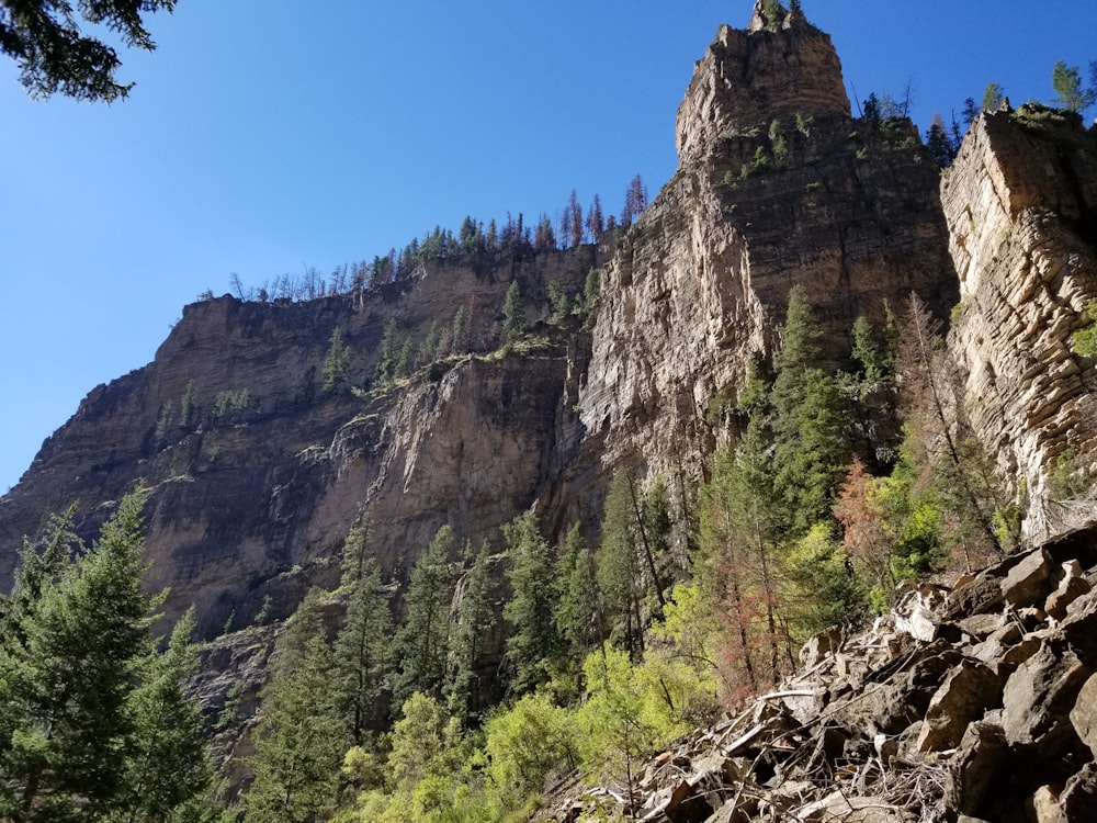 a rocky mountain with trees