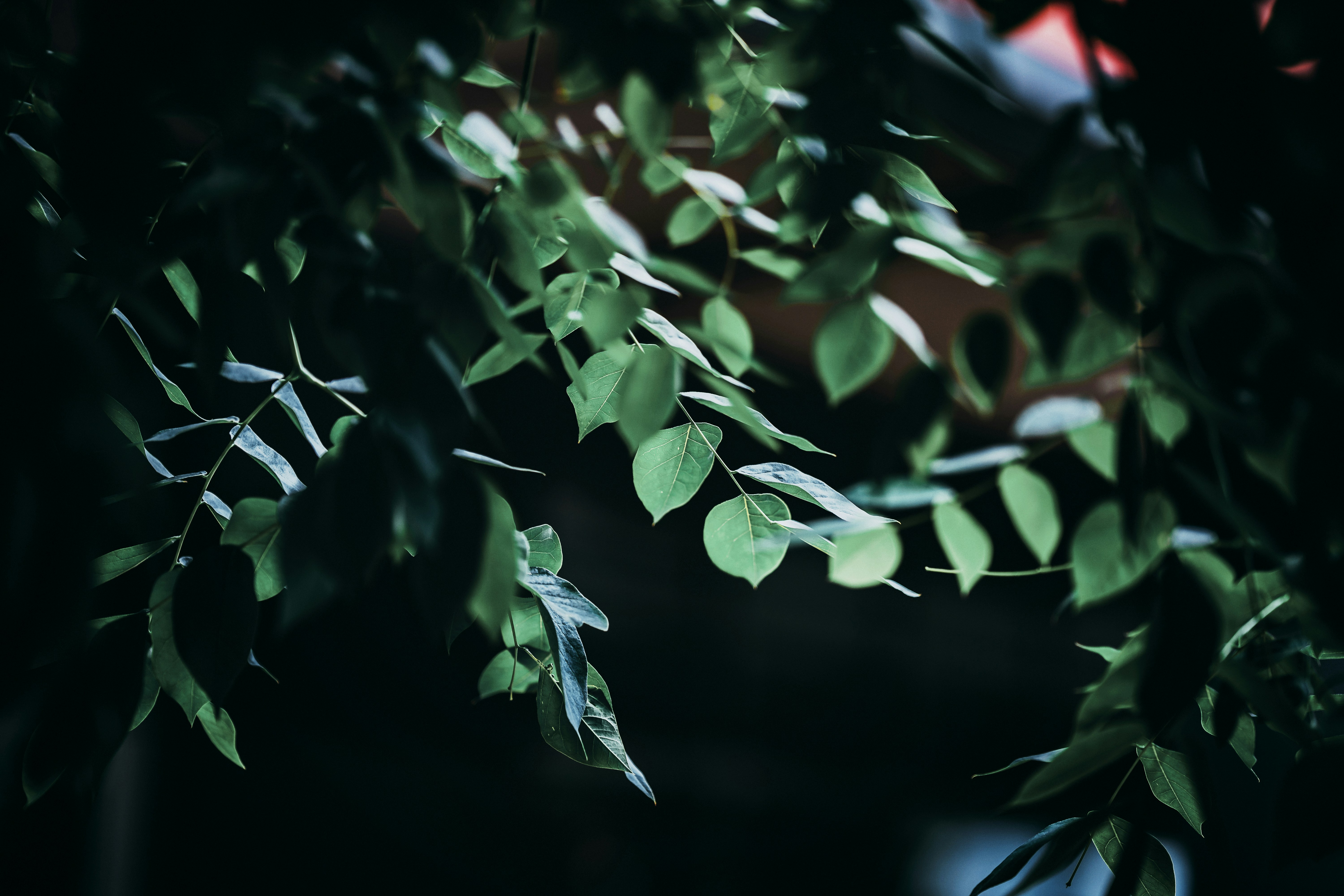 Photo by journey_via_lens