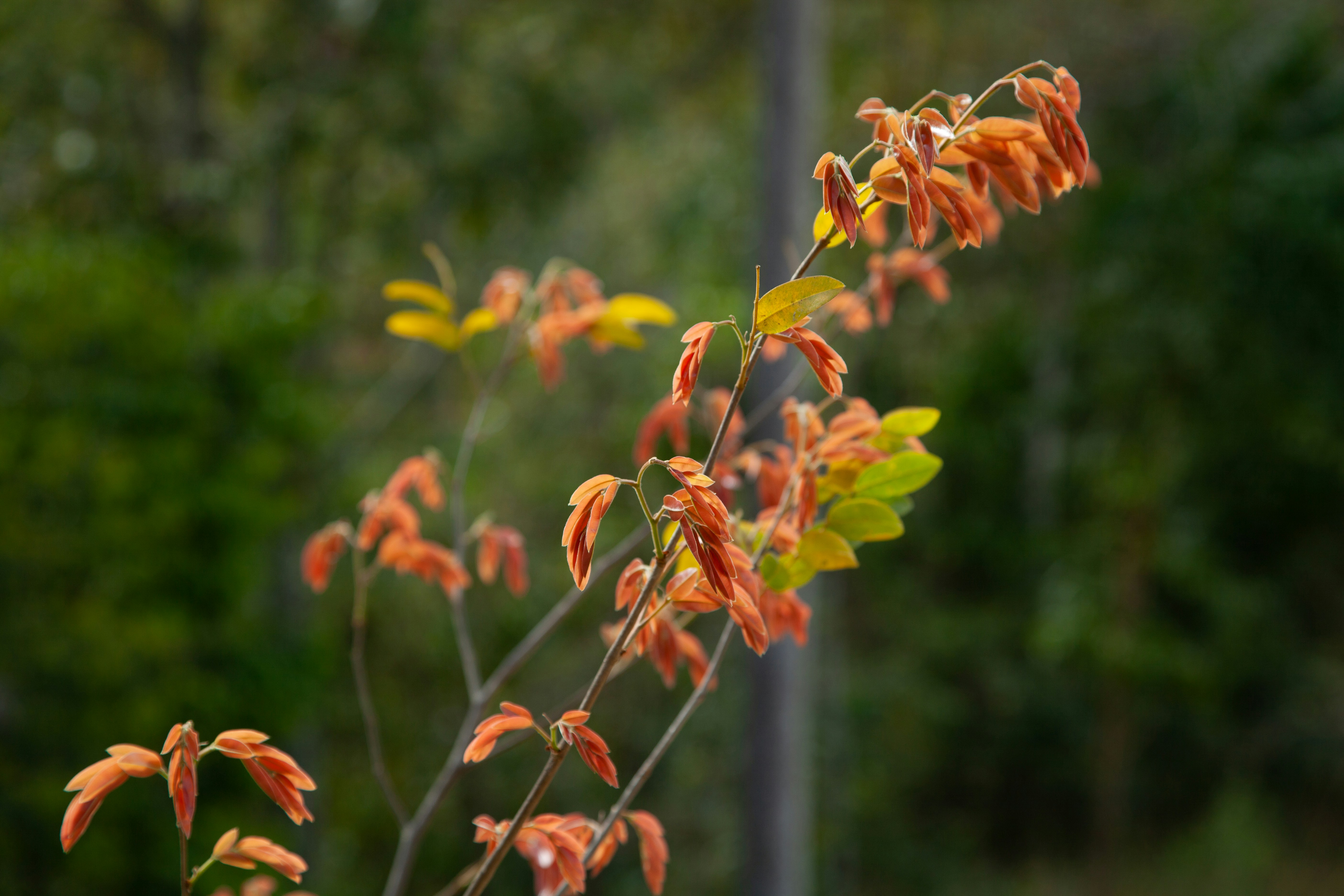 Photo by projetocafegatomourisco