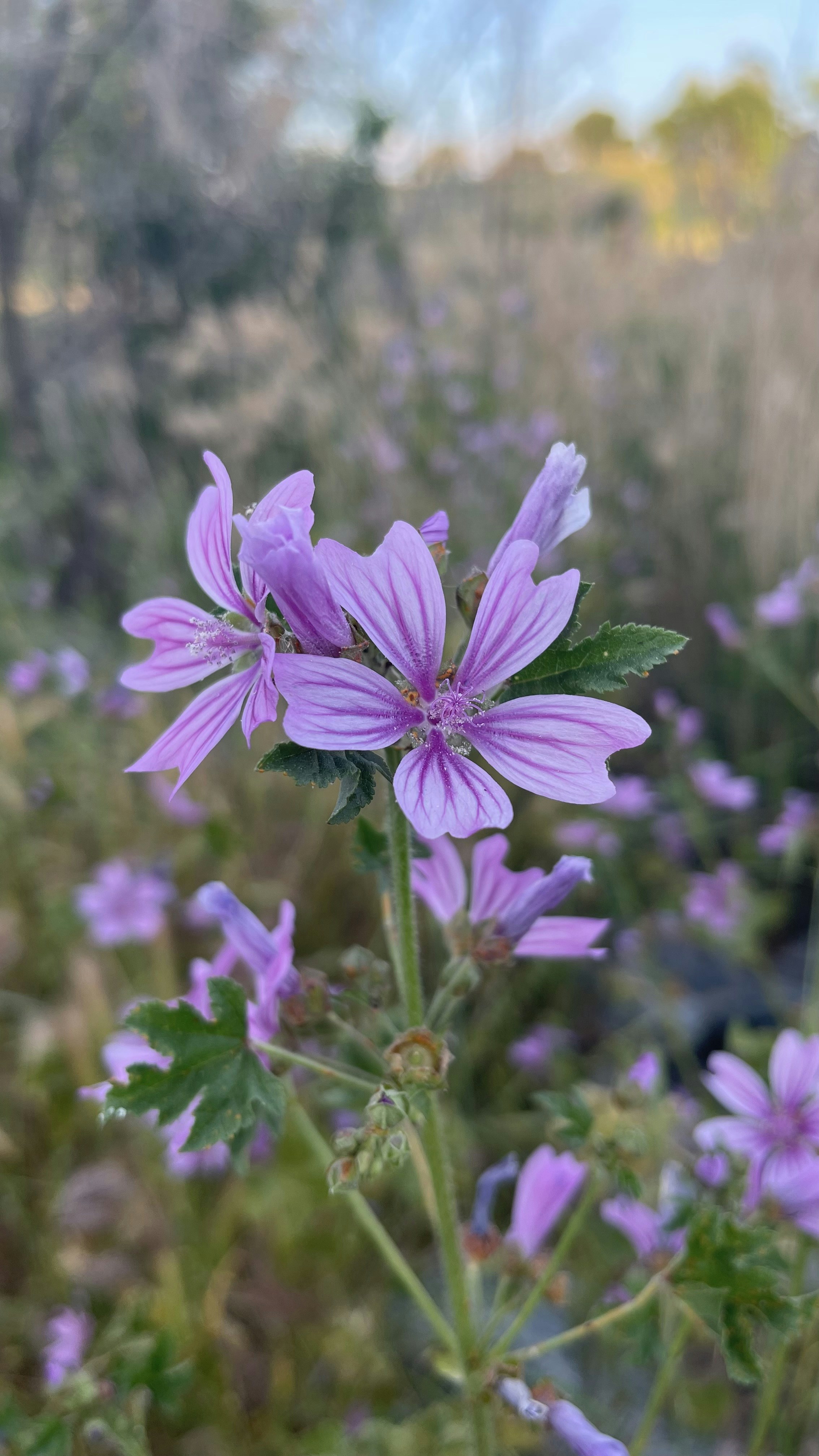 Photo by ireenee_fdez