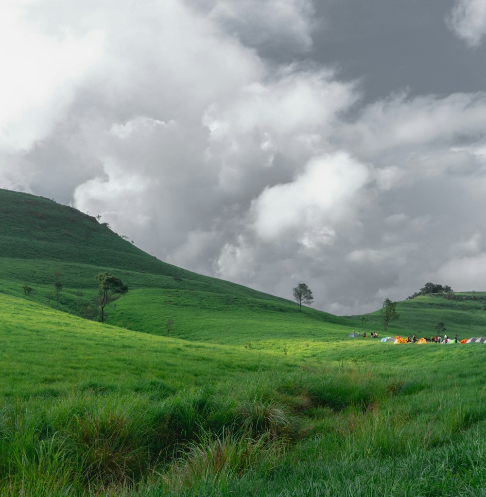 a grassy hill with trees and a cloudy sky