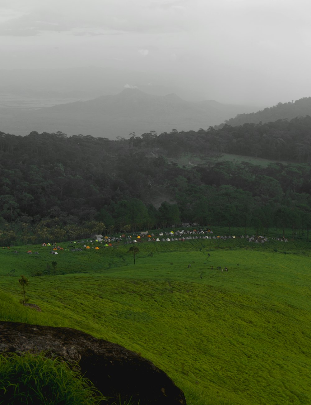 a grassy field with trees and a body of water in the background