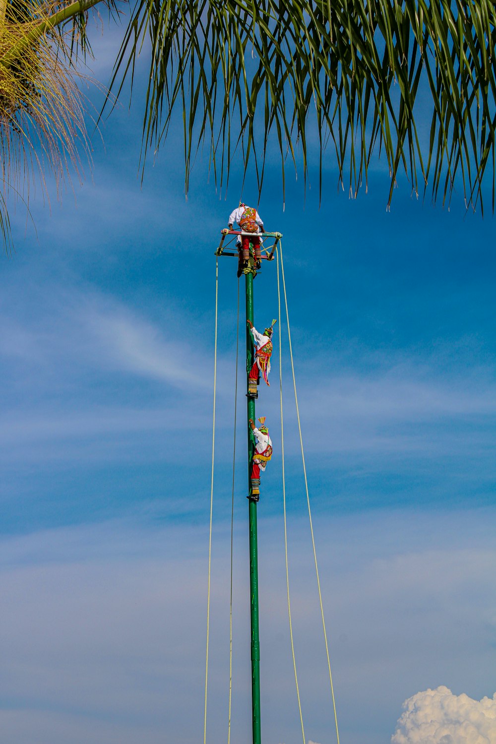 um grupo de pessoas saltando de paraquedas