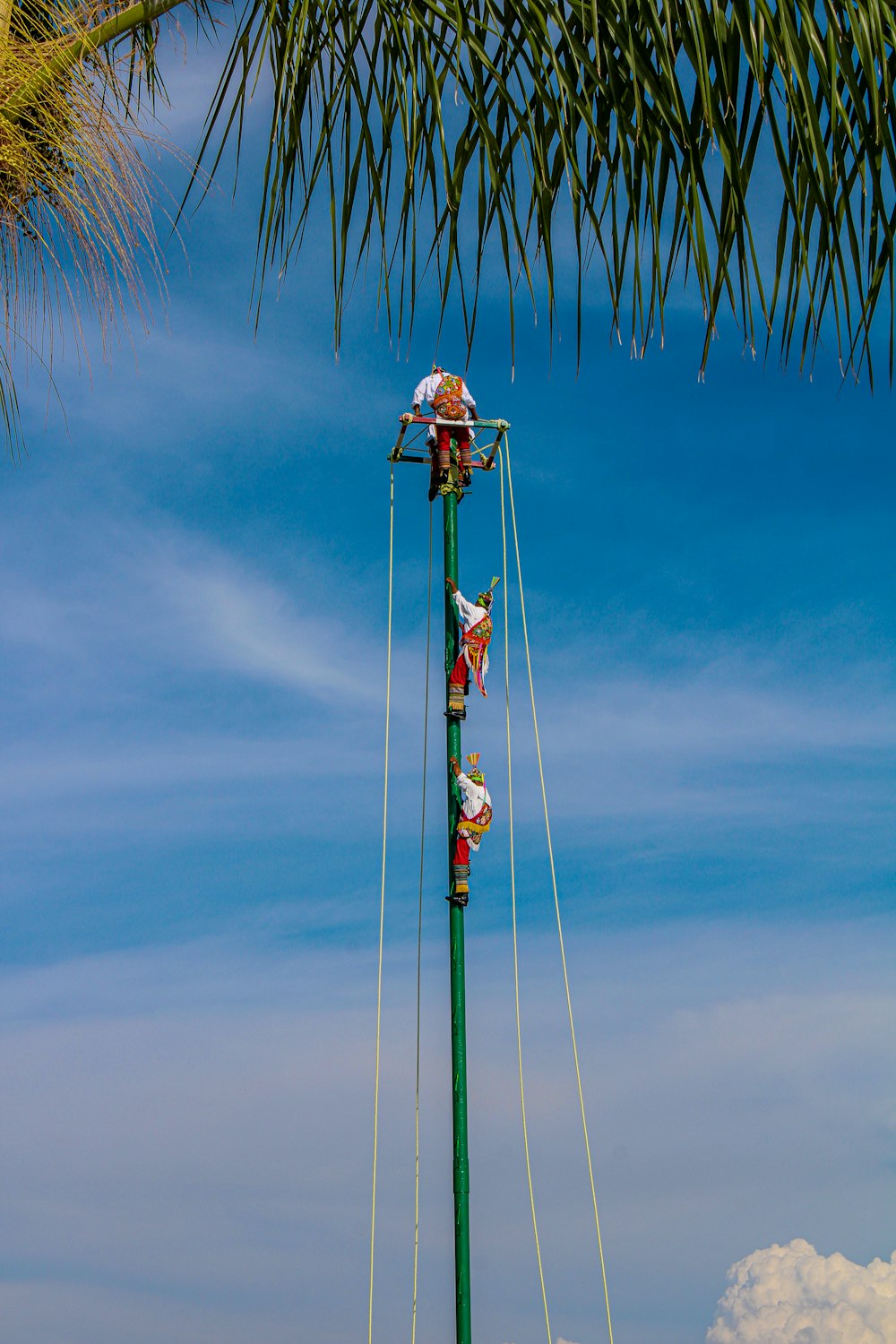 a group of people parachuting