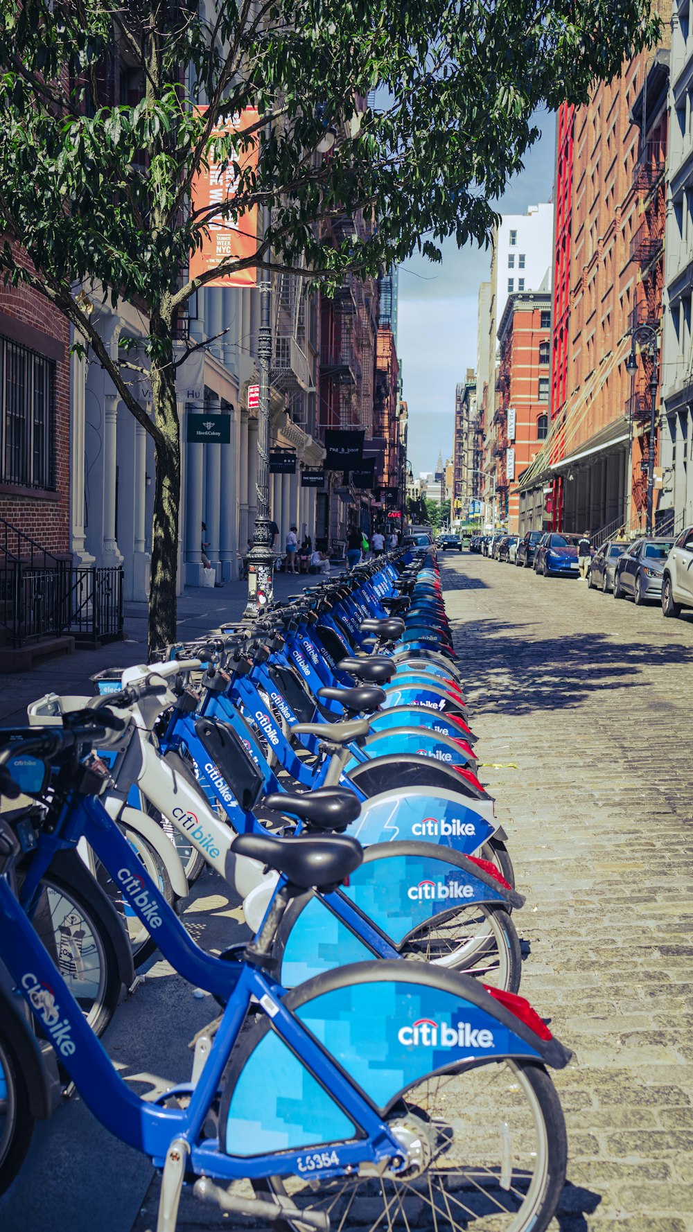 bicycles parked on the side of a street