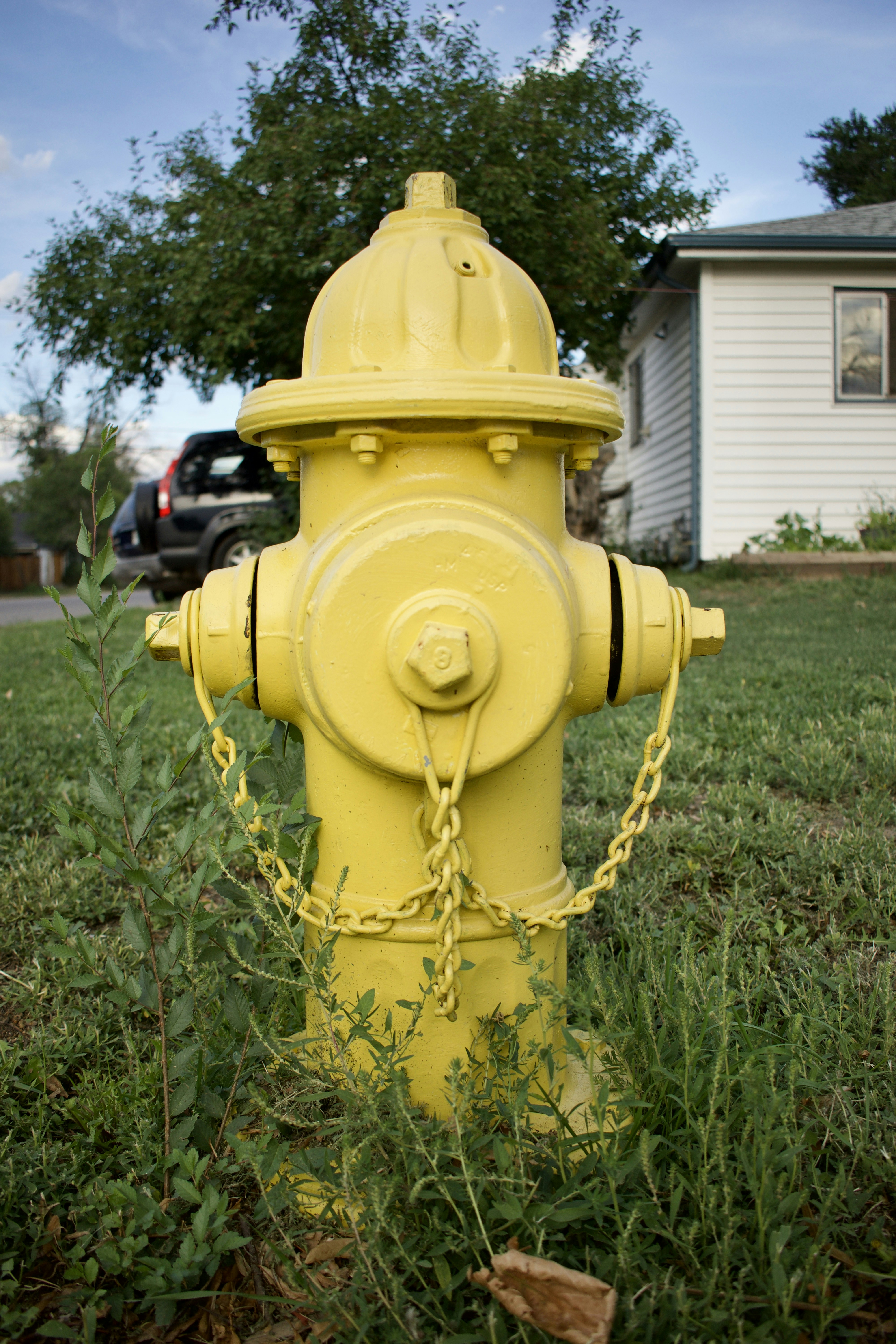 Photo by mrfluffyfish