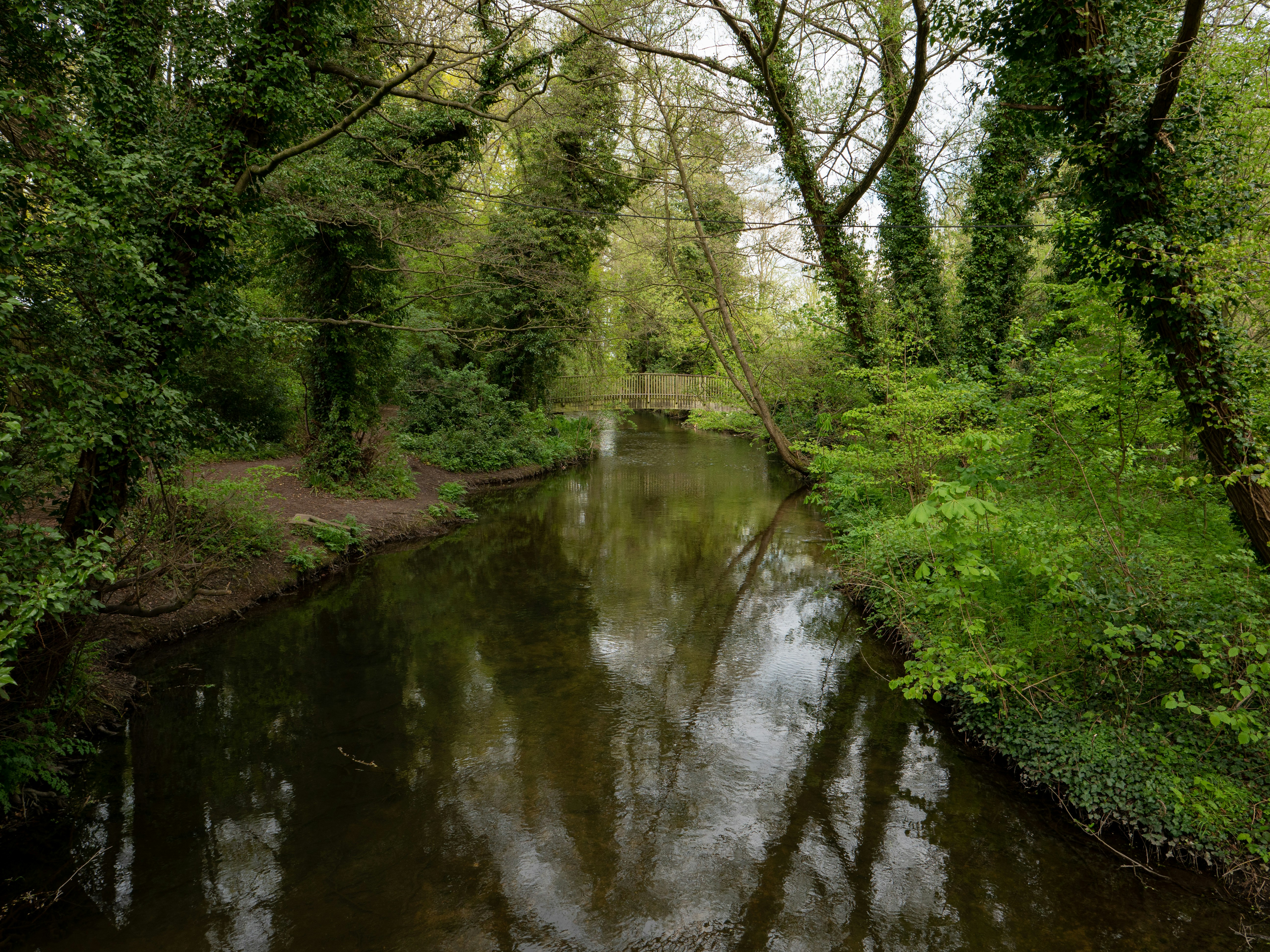 Photo by trustbattlerat