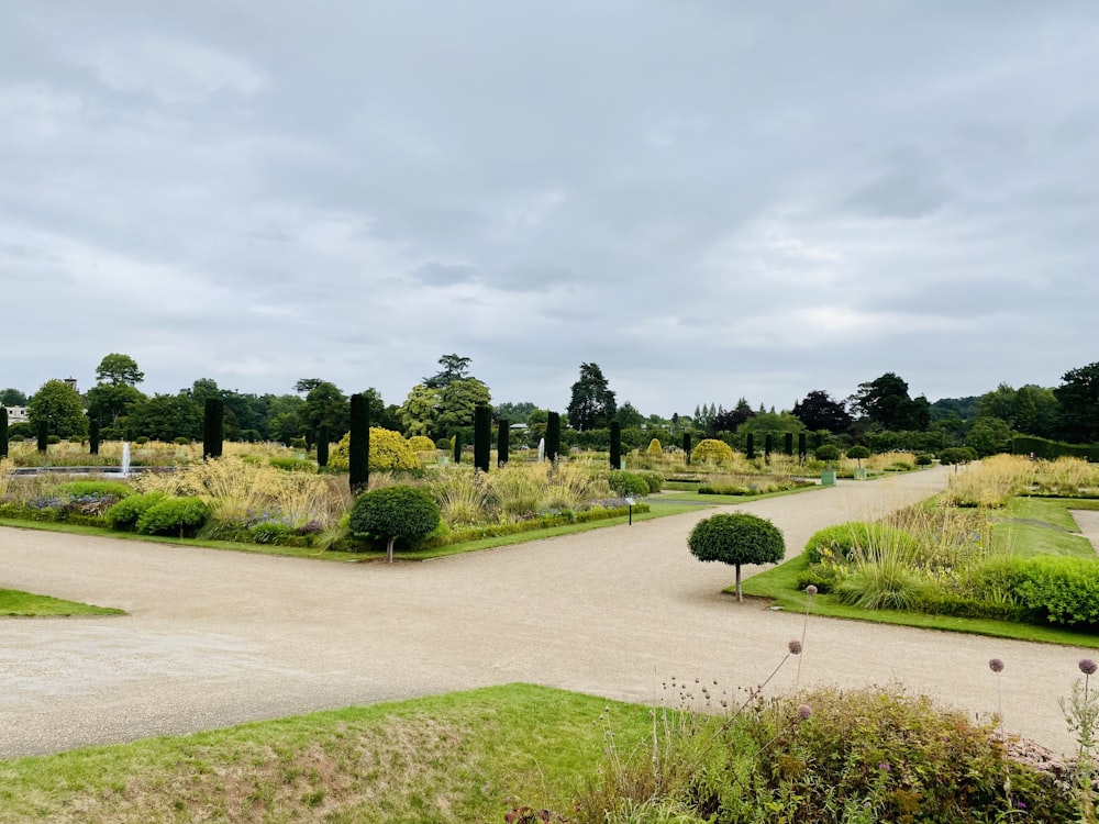 a golf course with trees and bushes