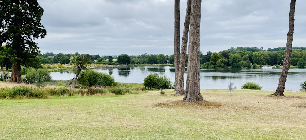 a grassy area with trees and a body of water in the background