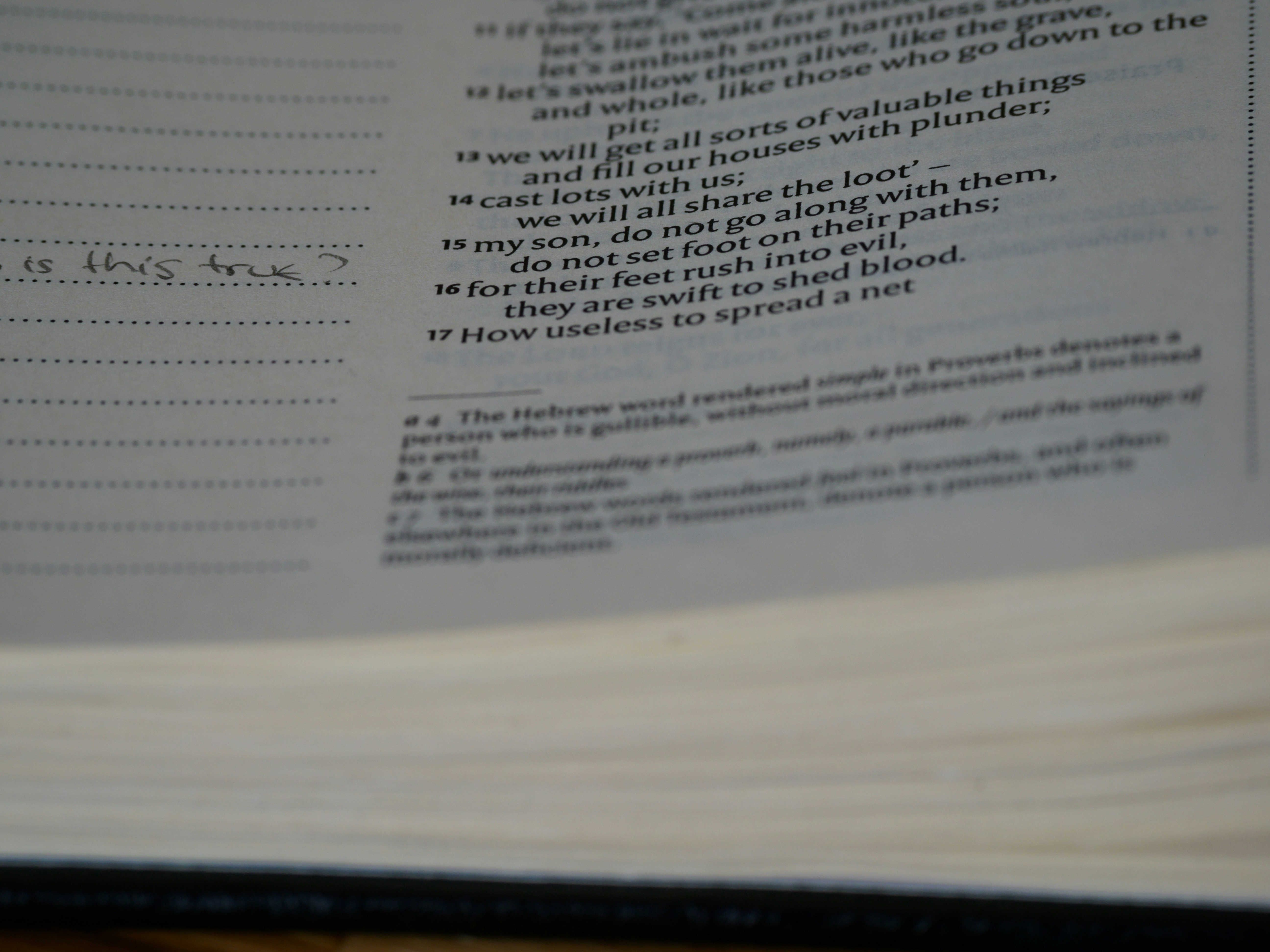 Photo by brett_jordan