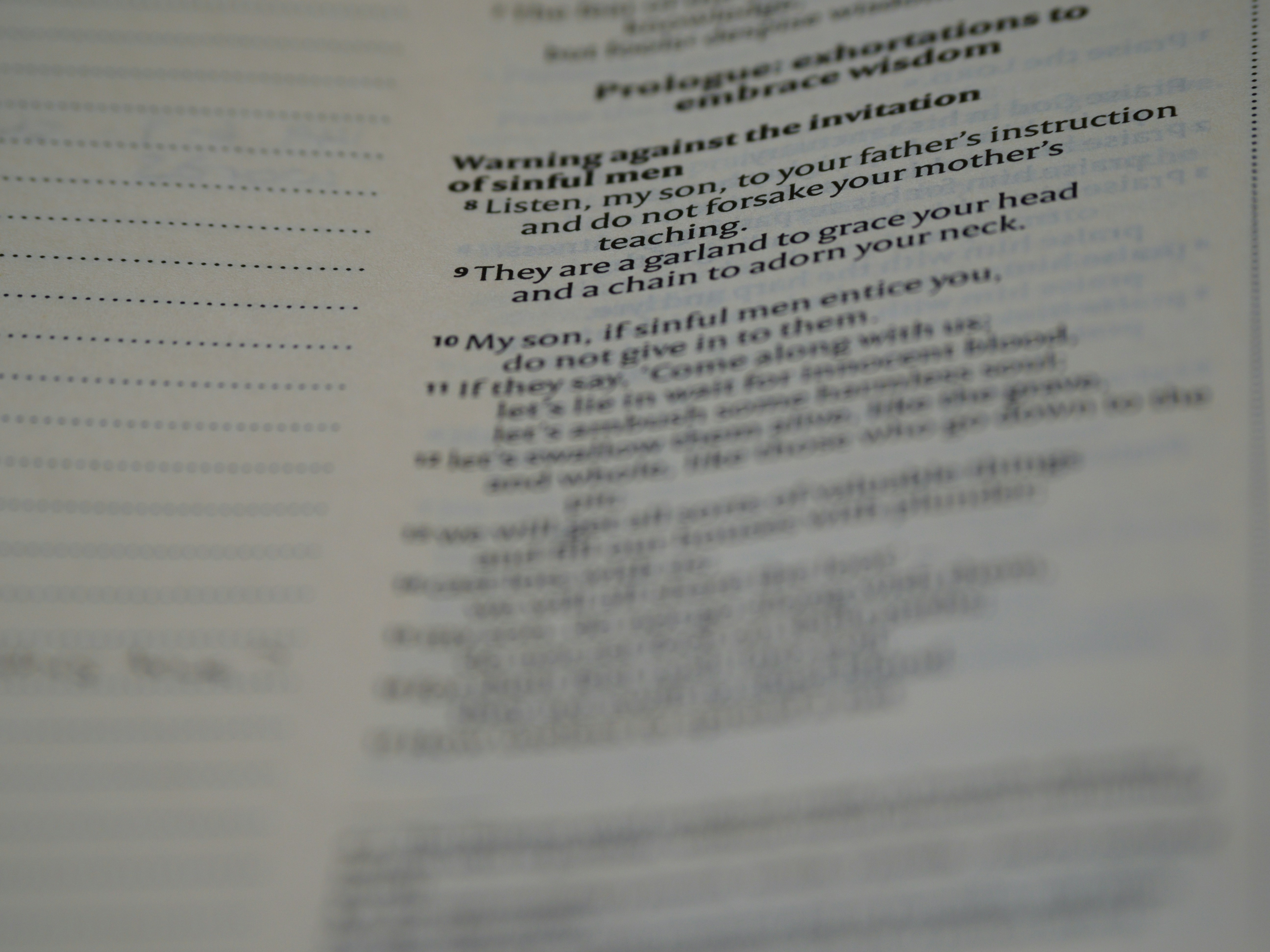 Photo by brett_jordan