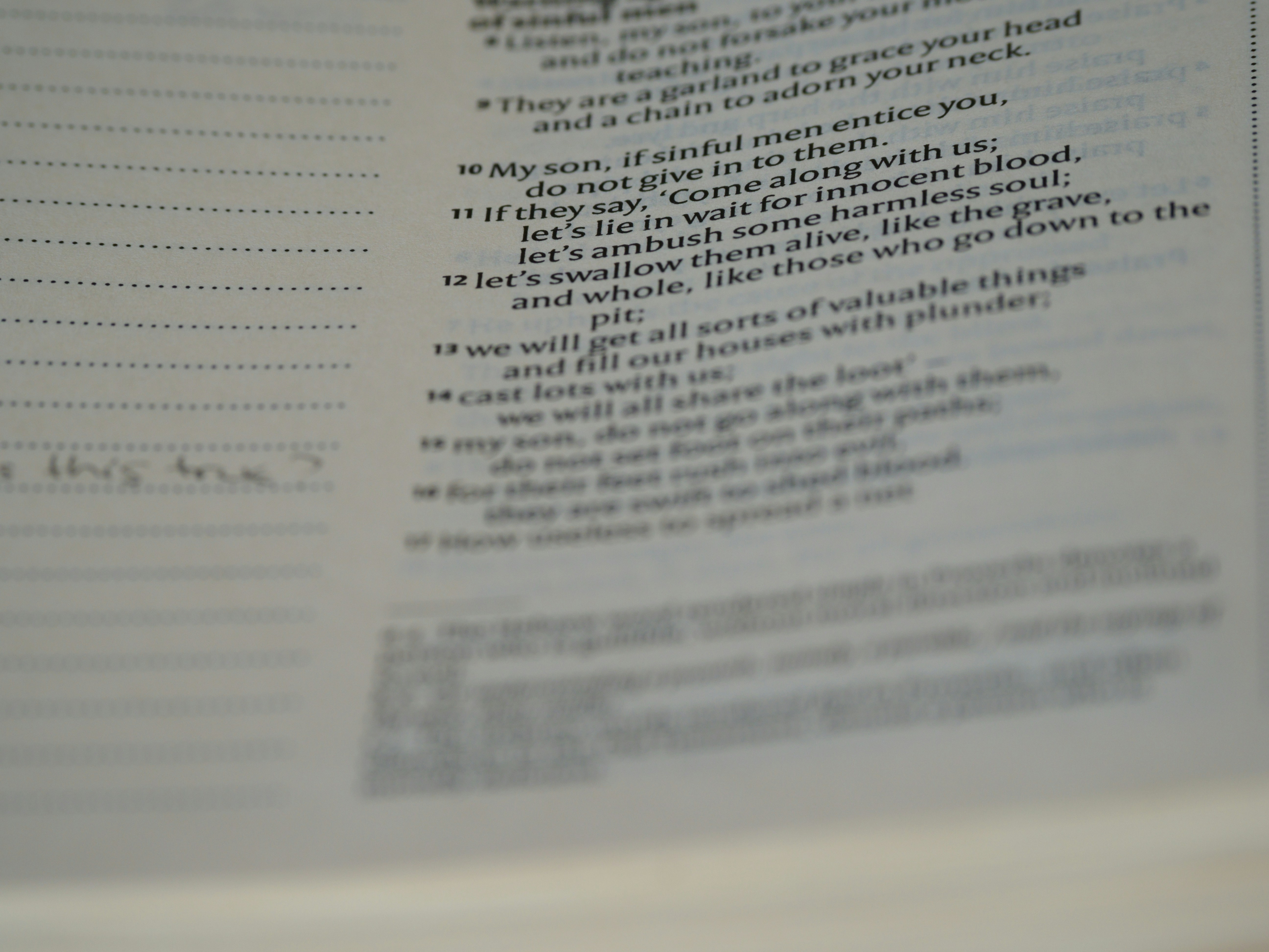 Photo by brett_jordan