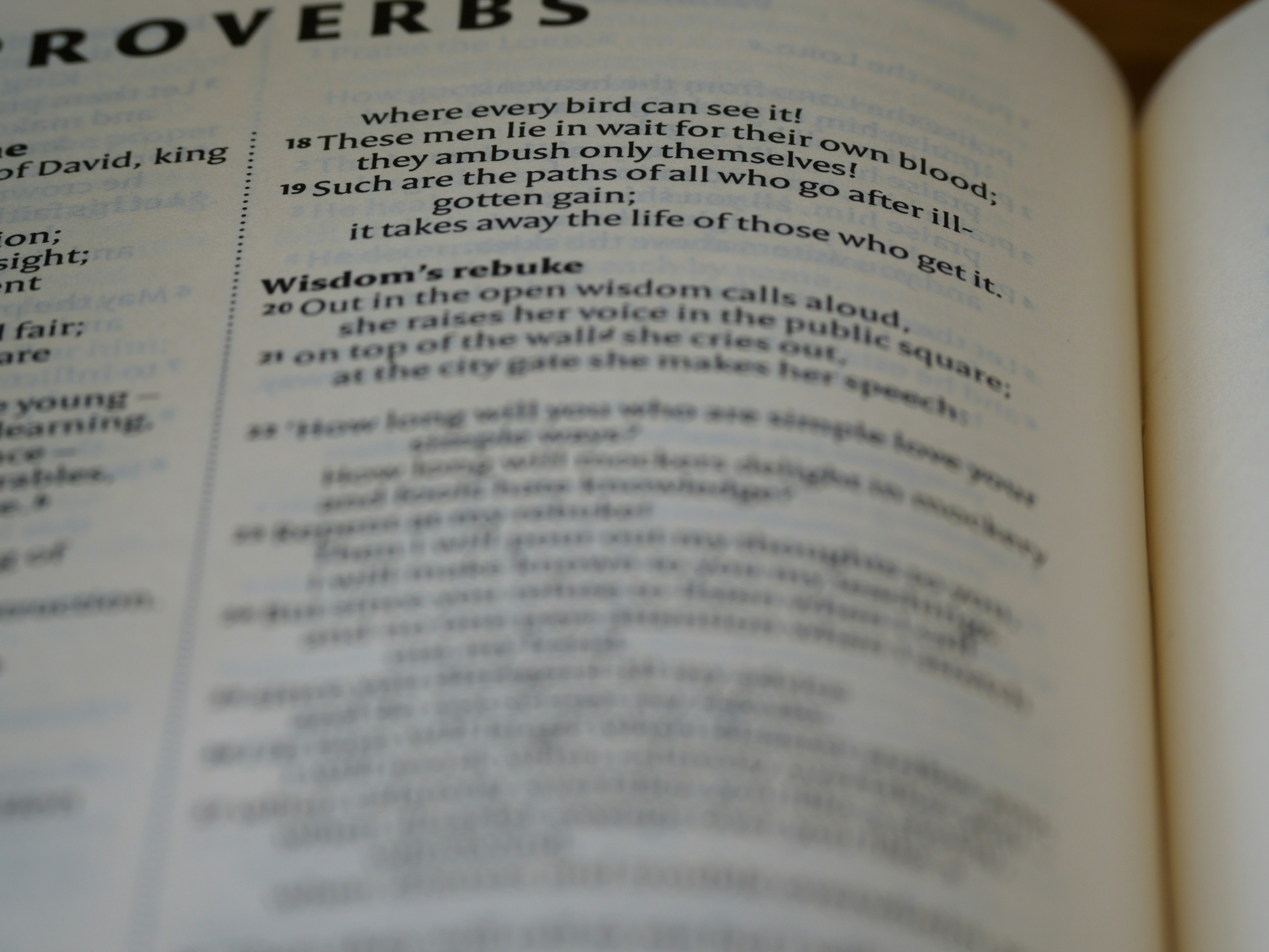 close up, bokeh, macro, blur, blurred background, close focus, bible, old testament, hebrew bible, christian, judaism, history, text, reading, bible study, devotions, text, NIV, New International Version, type, typography, canon, christianity, holy scripture, holy bible, scripture, old testament, hebrew bible, מִשְלֵי, book of proverbs, proverbs of solomon, wisdom literature, ketuvim, anthology, solomon, wisdom, sayings, mashai, folly, values, morality, proverbs, proverb, life skills, ancient wisdom, hebrew wisdom,