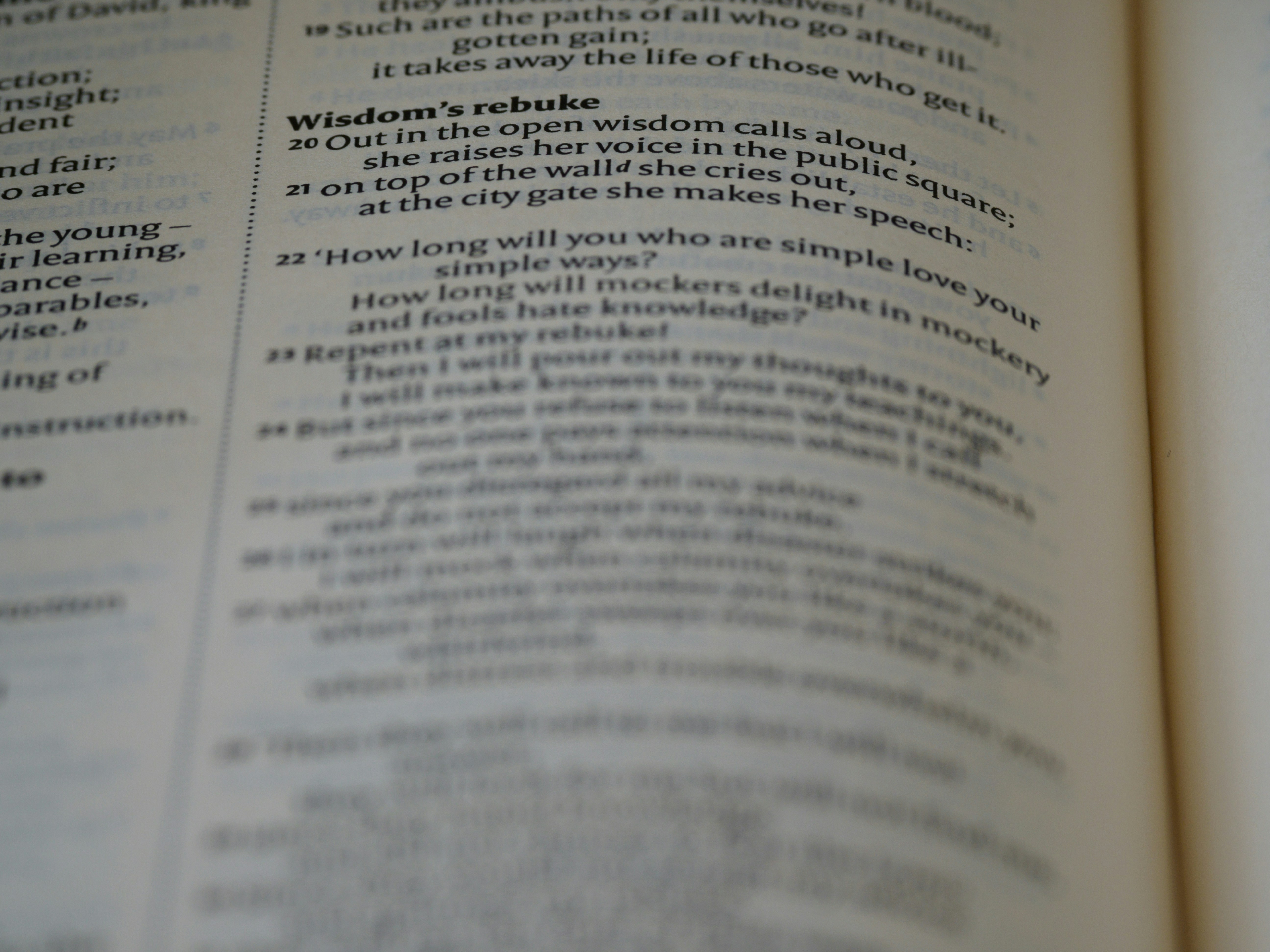 Photo by brett_jordan