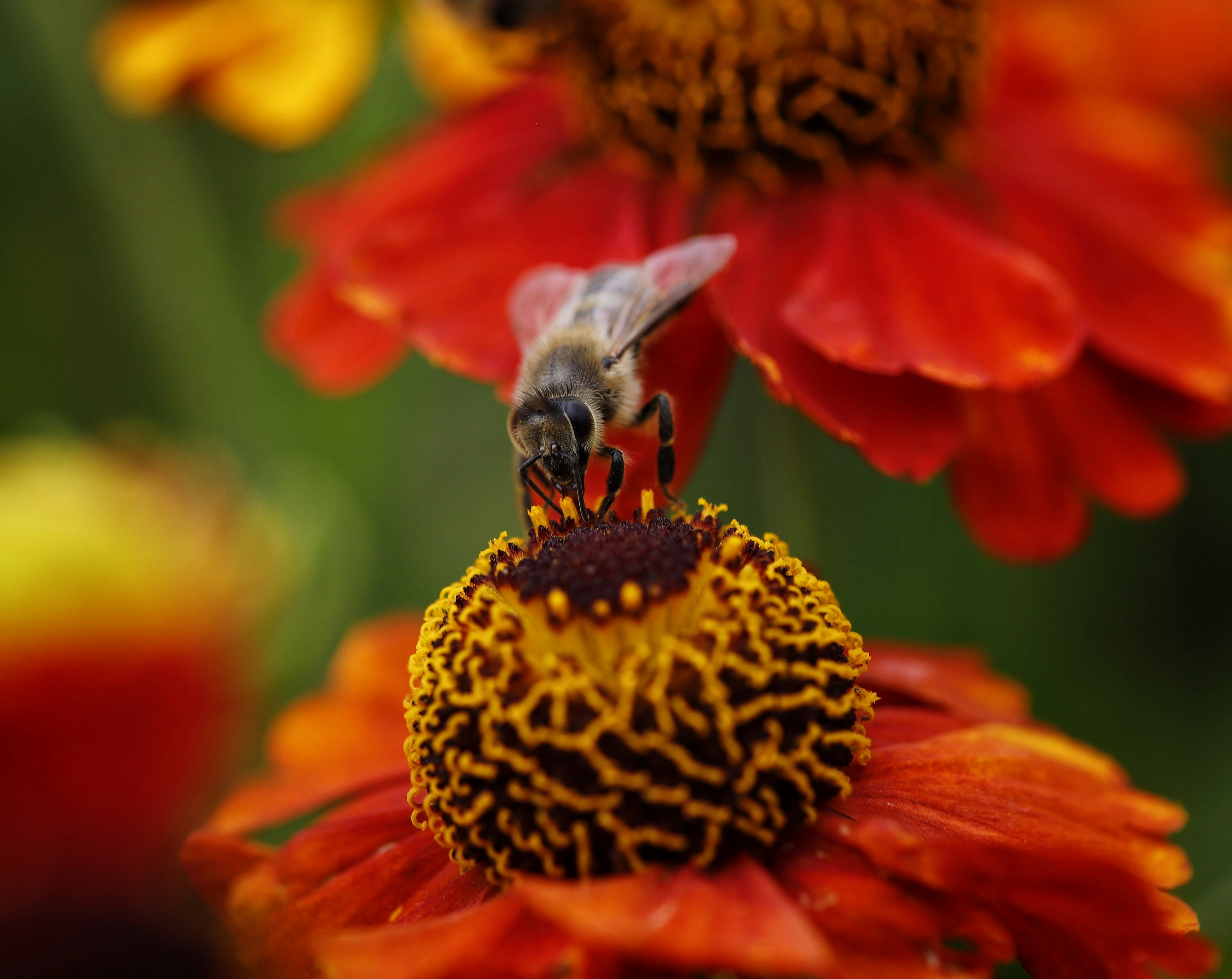 Photo by hdbernd