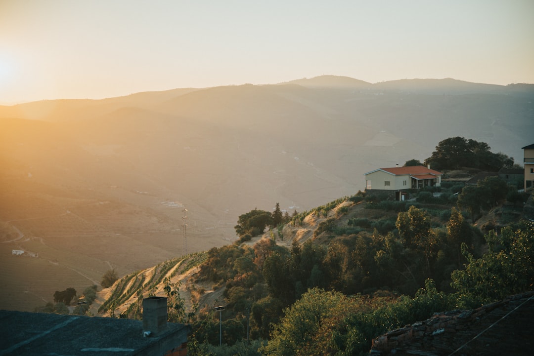 a house on a hill,