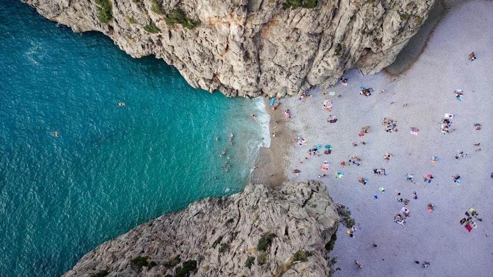a beach with people swimming