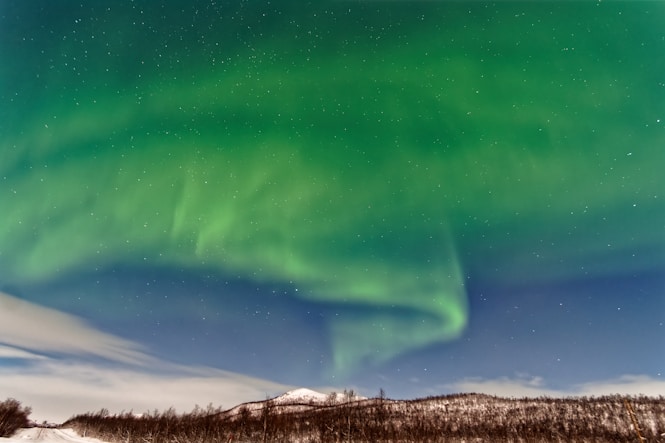 a green sky with stars