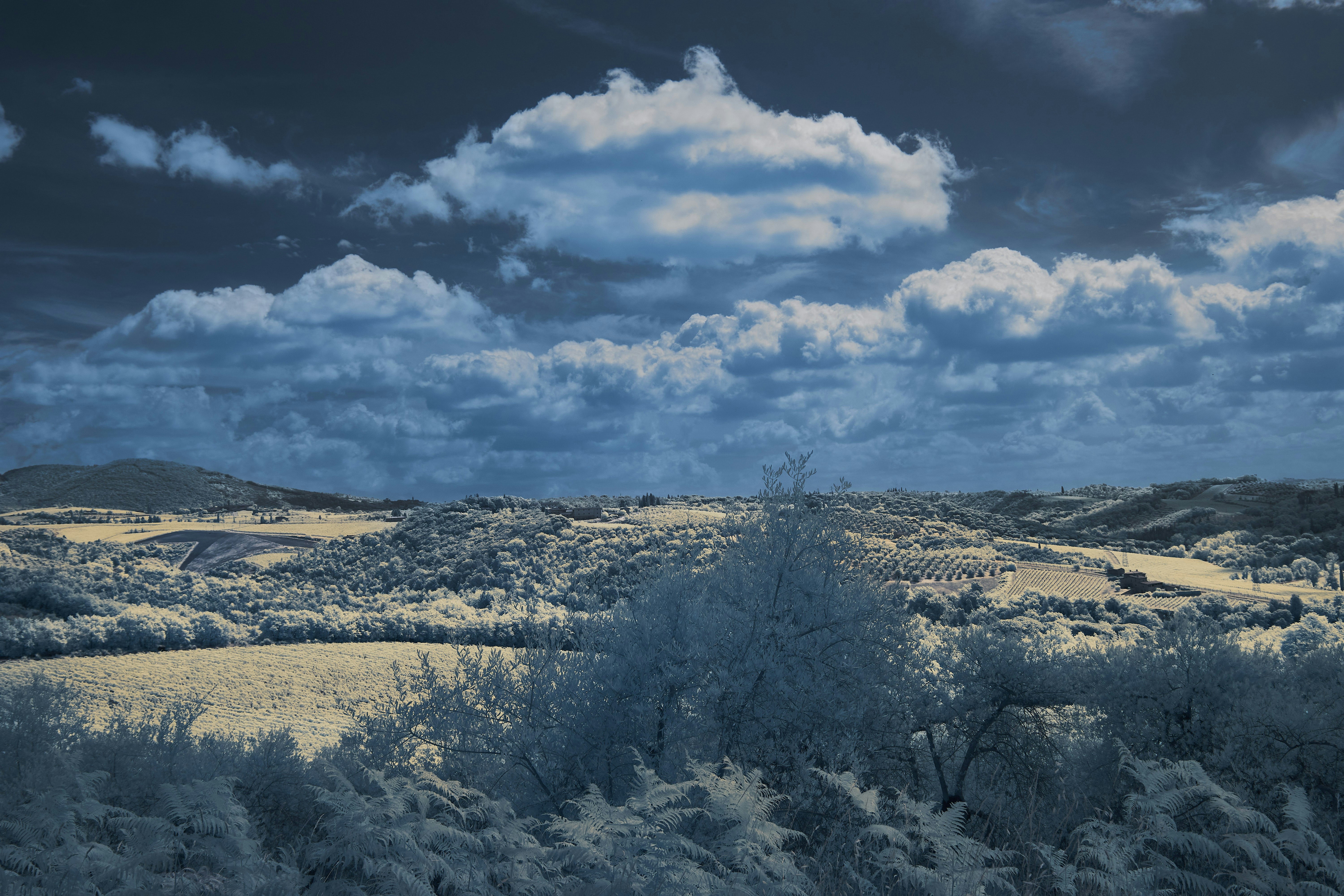 Photo by wolfgang_hasselmann