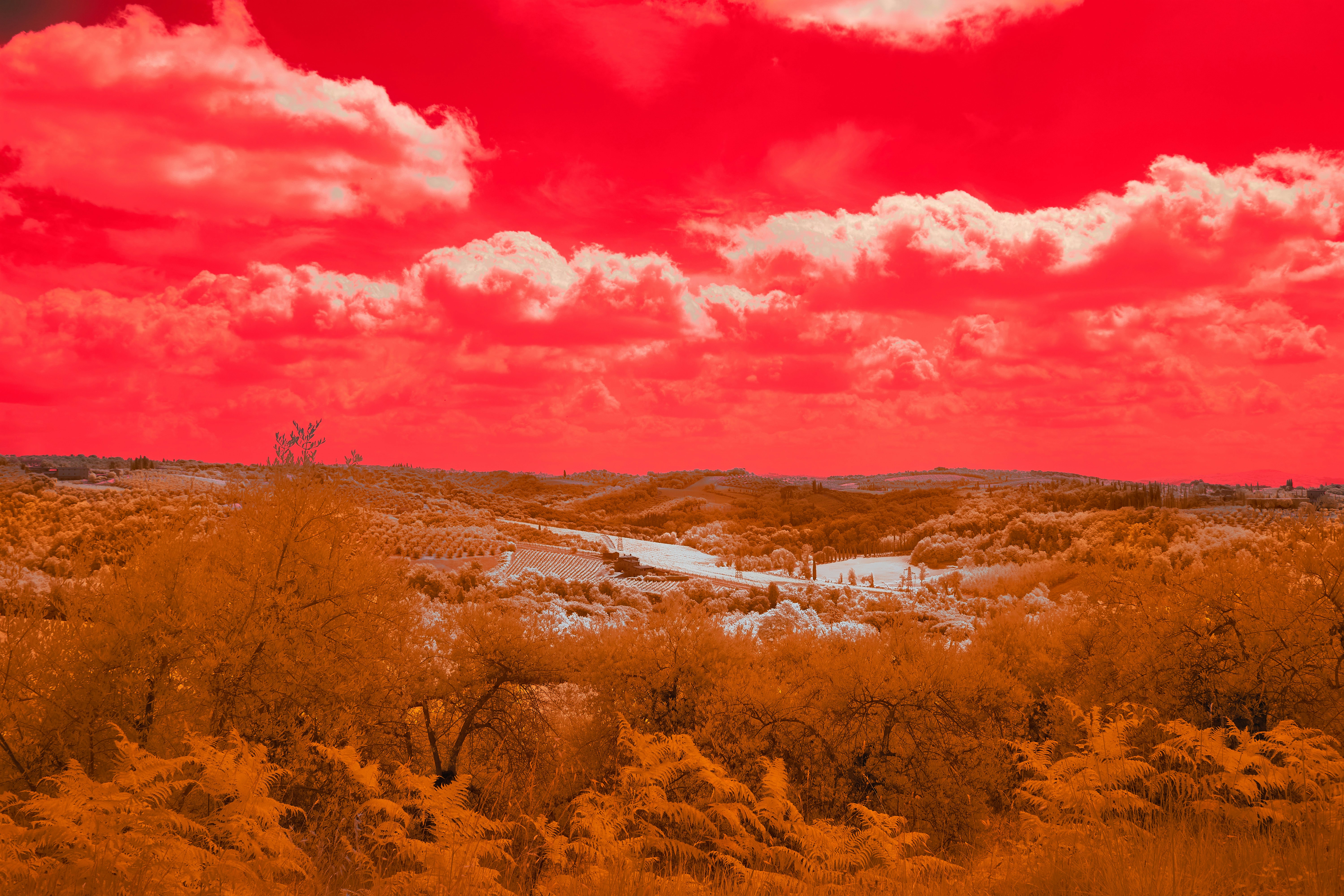 Photo by wolfgang_hasselmann