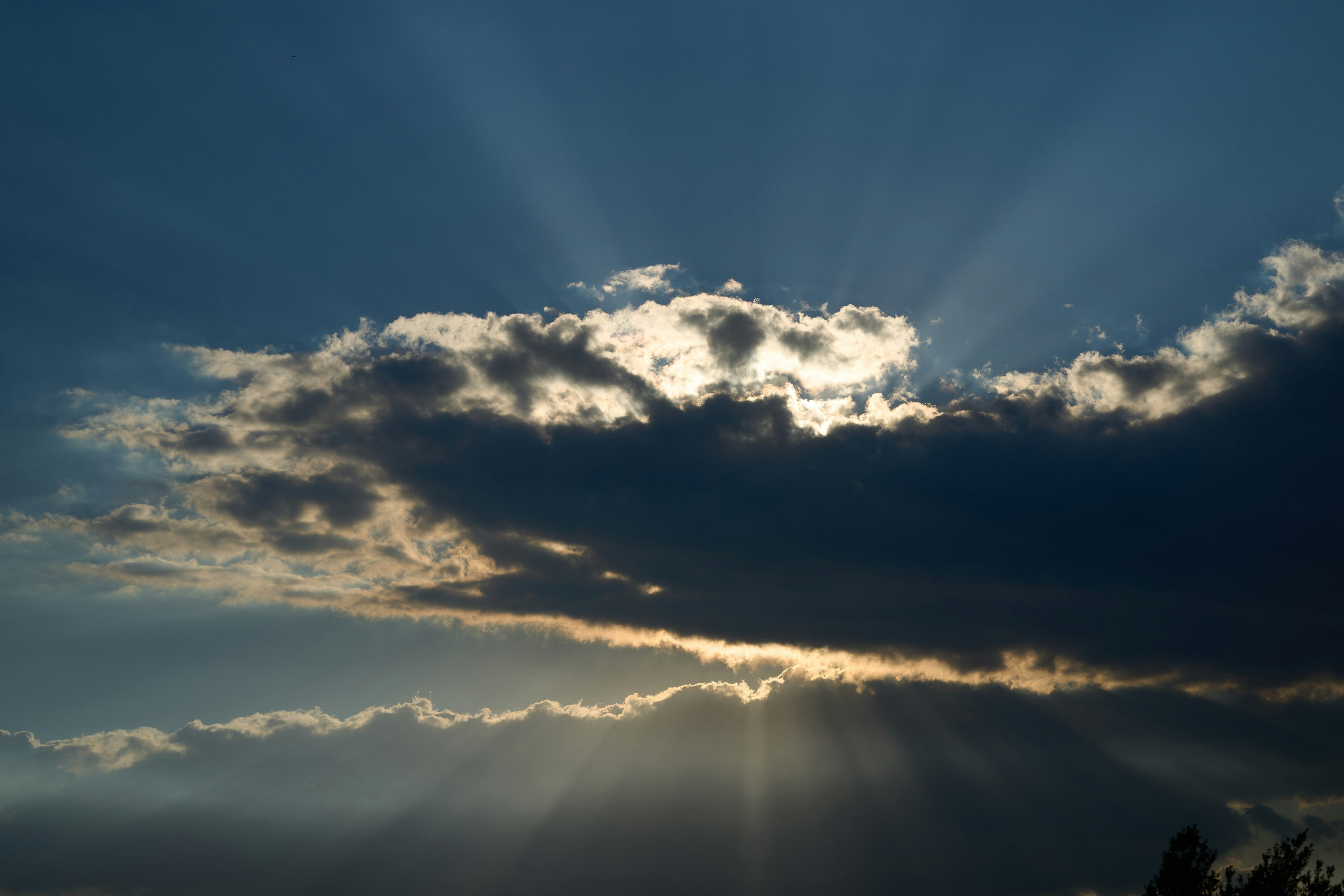 Photo by wolfgang_hasselmann