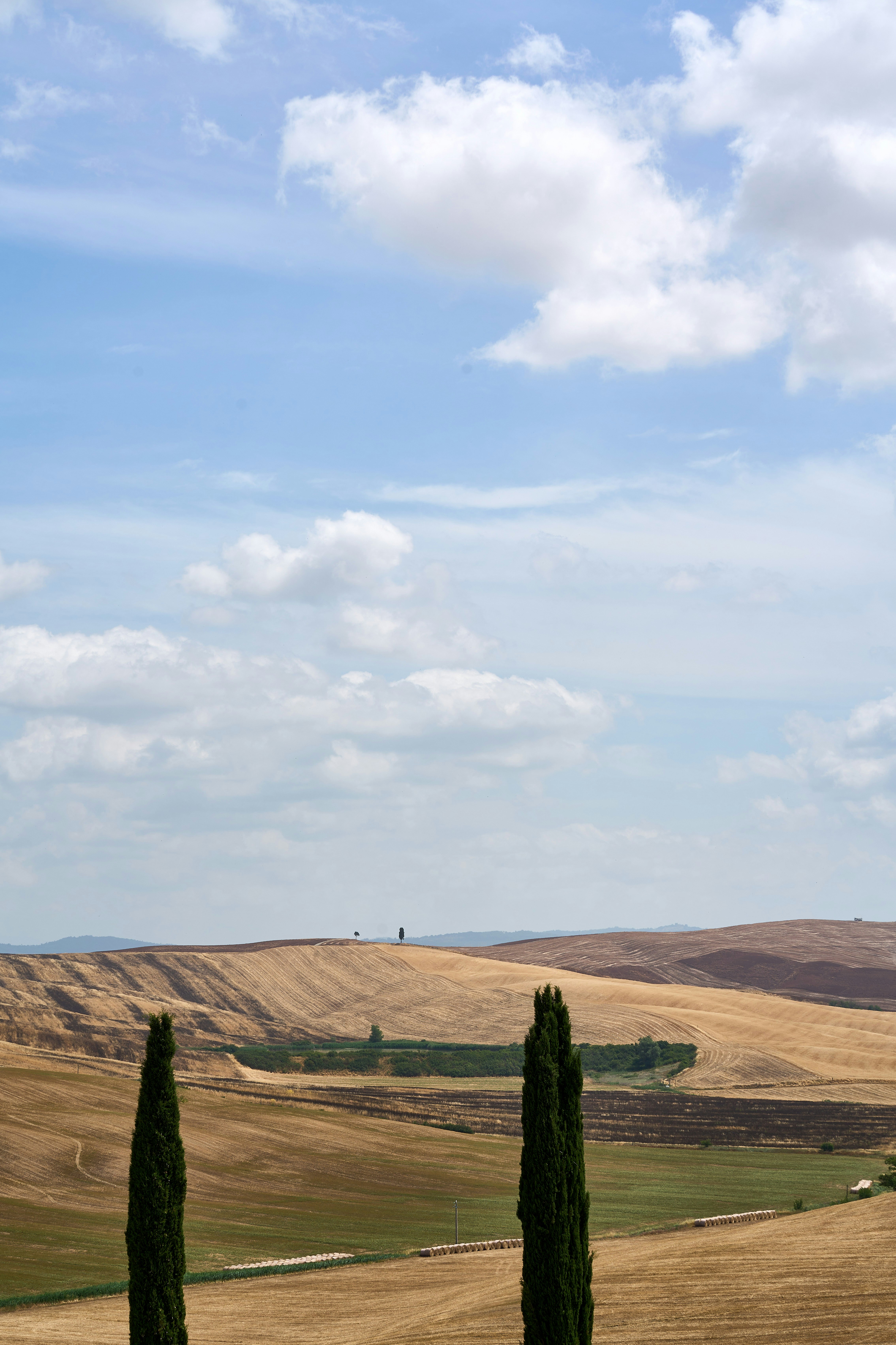 Photo by wolfgang_hasselmann