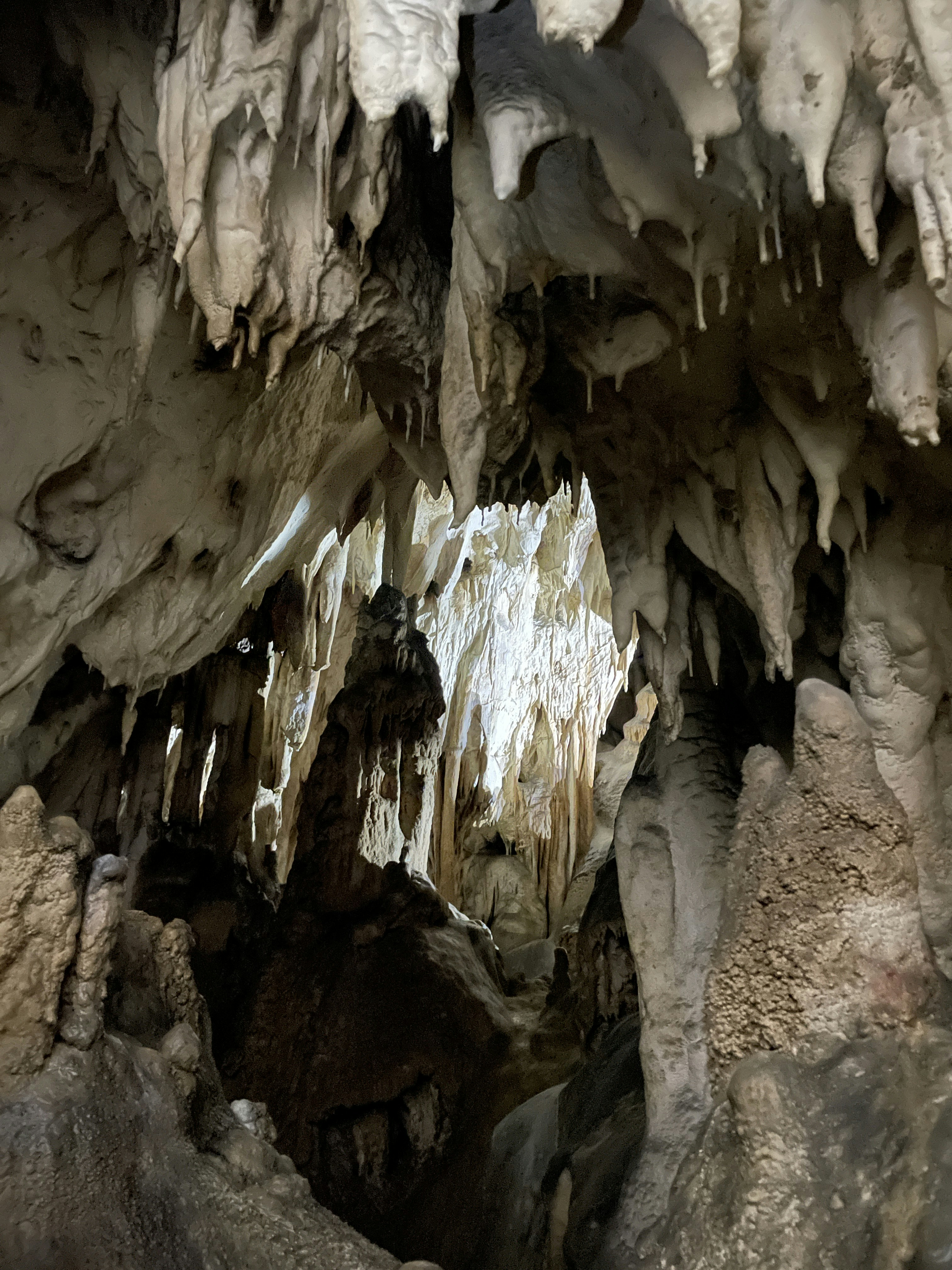 Photo by nicoletadobarleanu