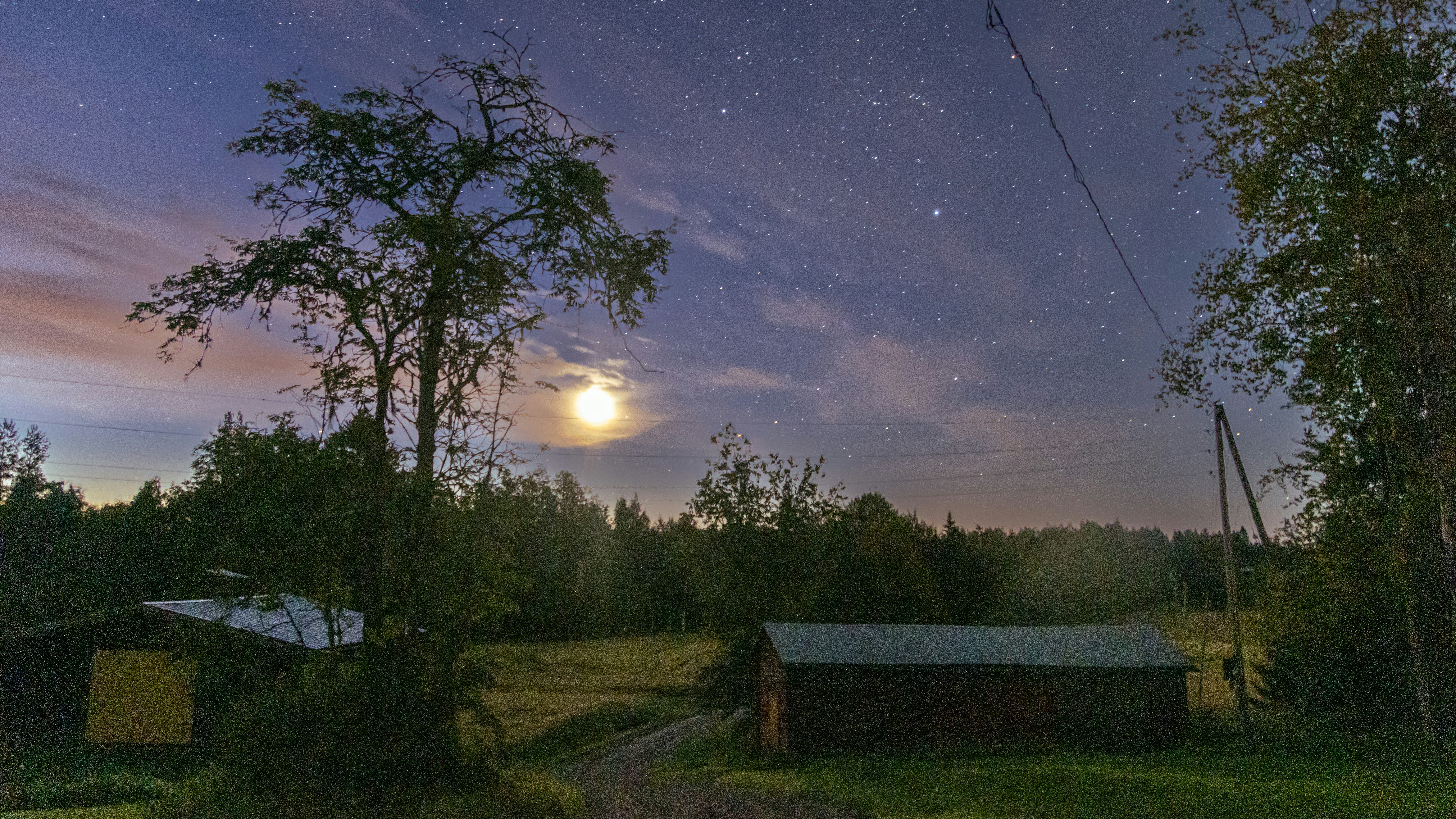 The Science of Medication Adherence and Why It's Harder Than It Seems