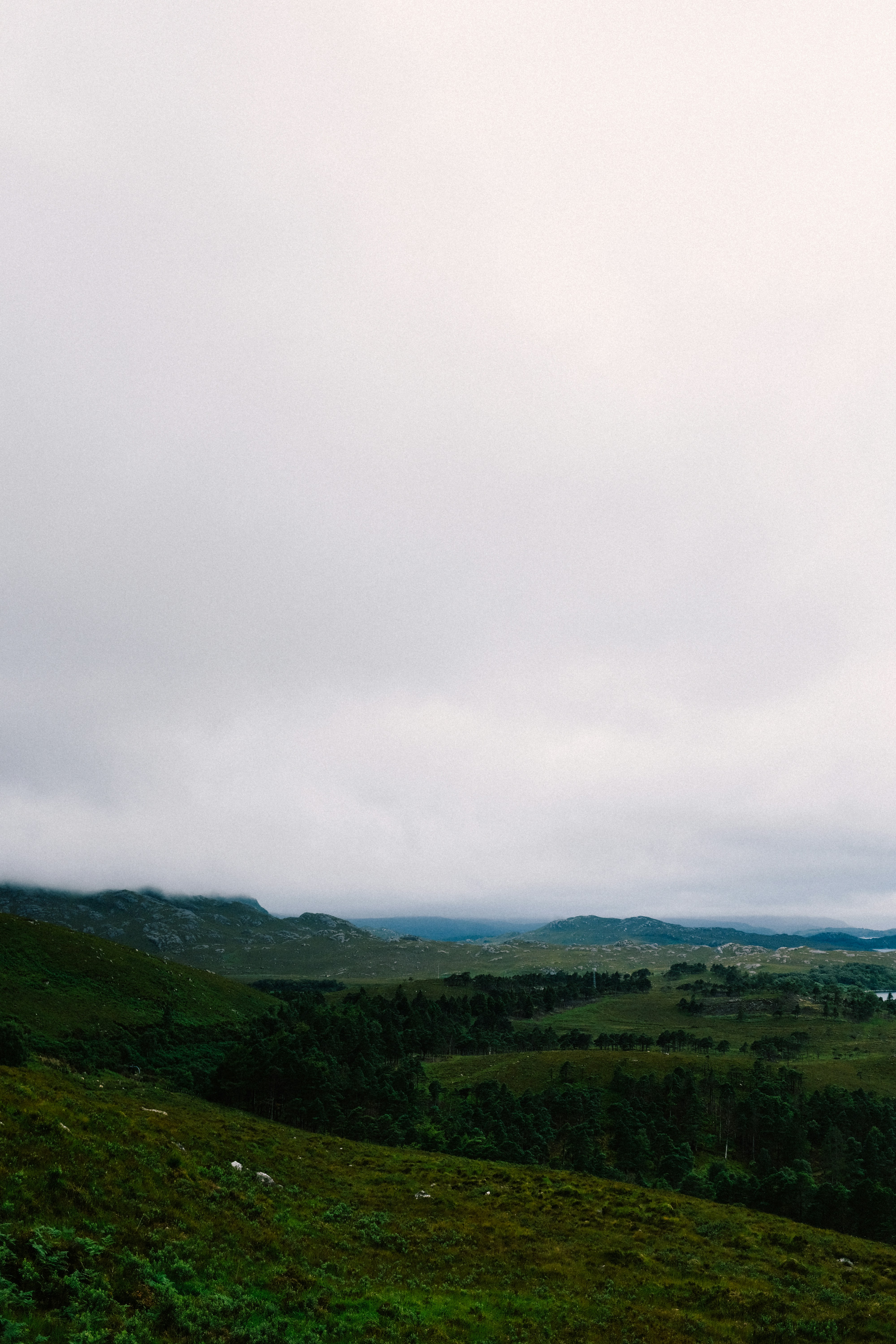 Photo by adrienolichon