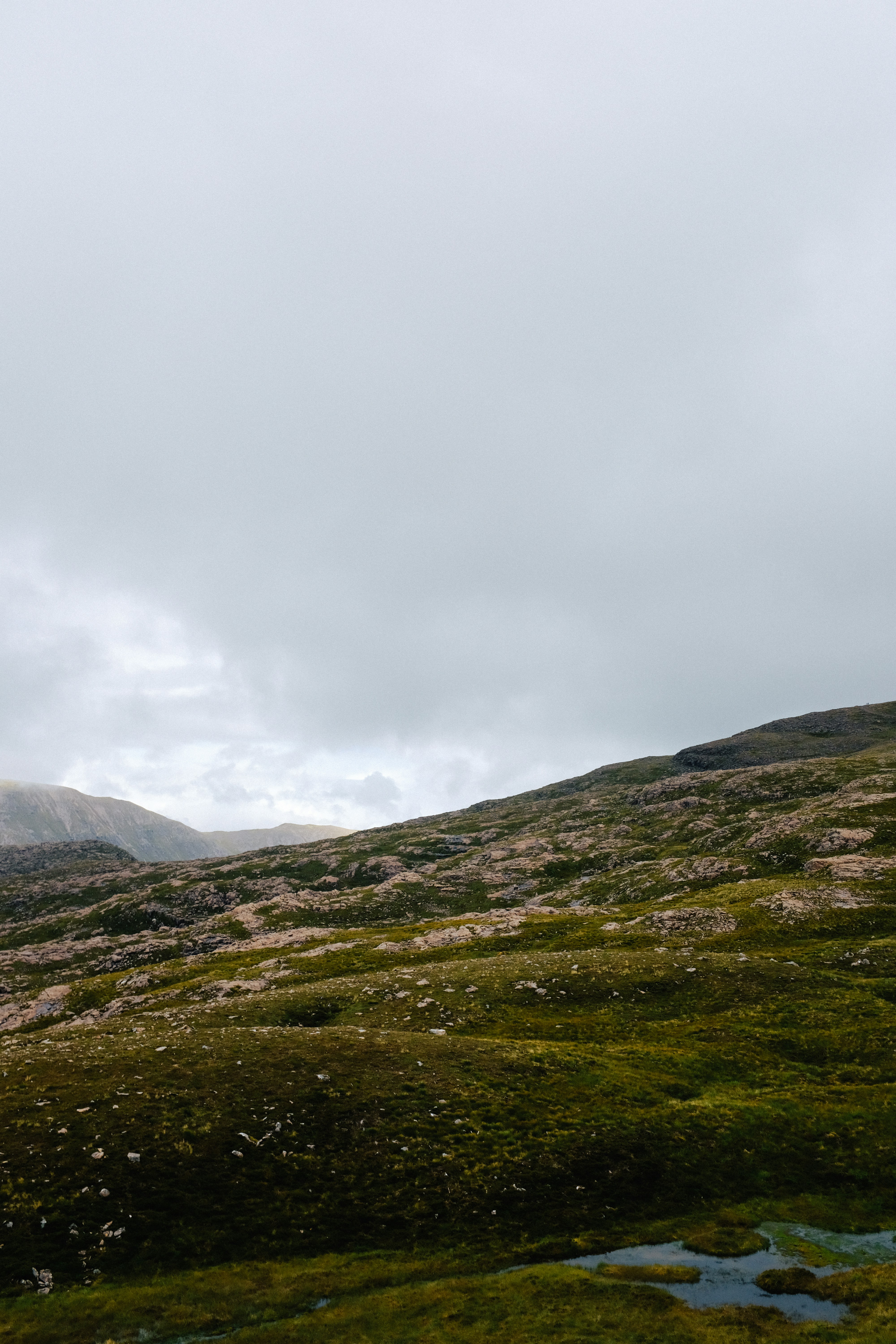 Photo by adrienolichon