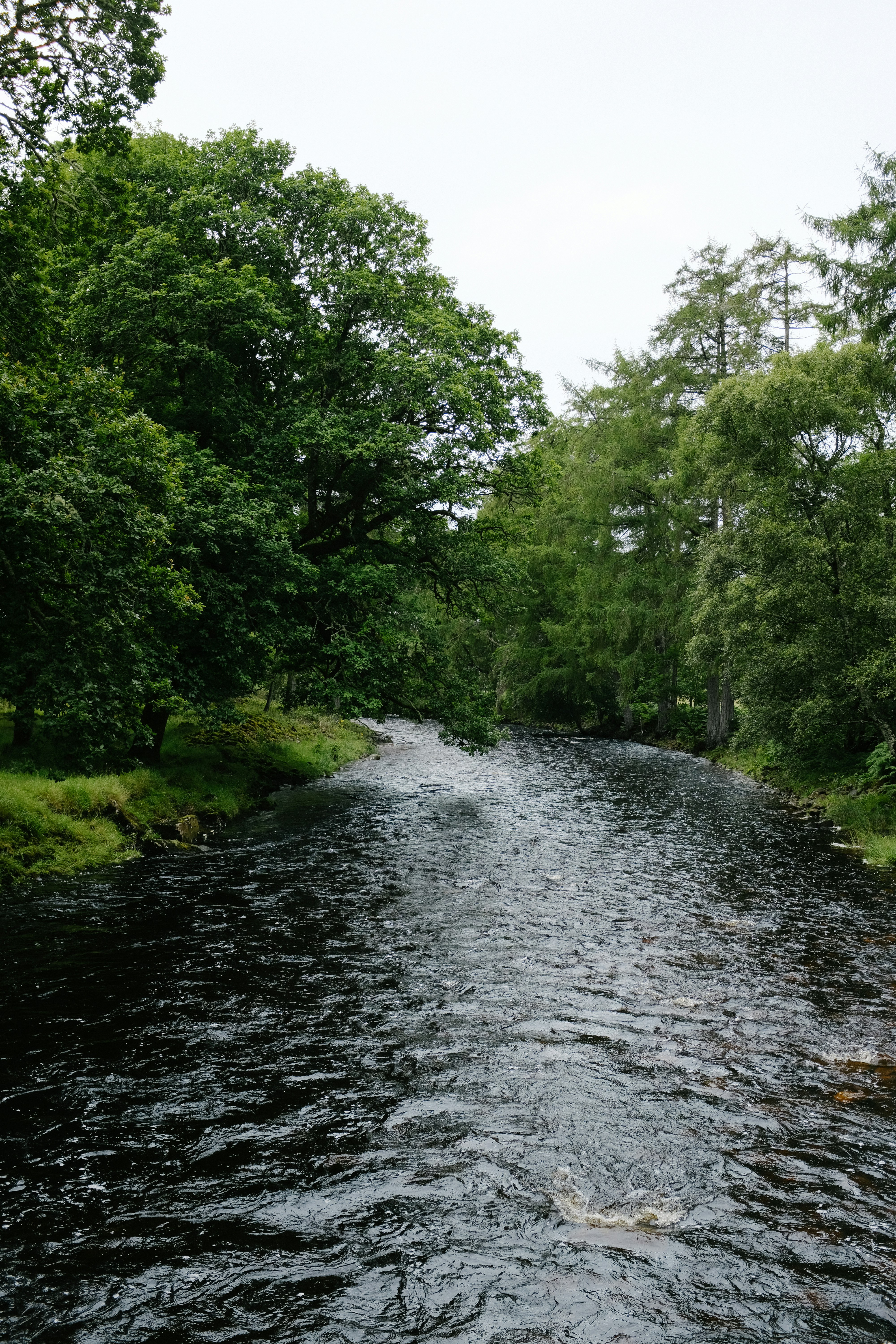 Photo by adrienolichon